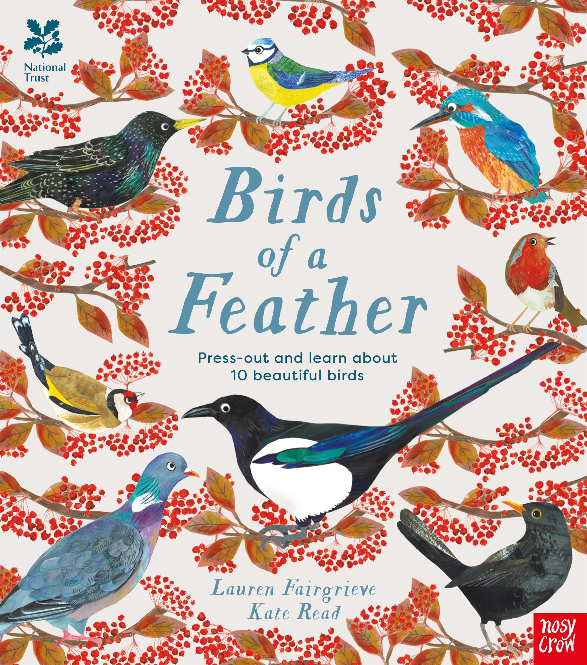 National Trust: Birds of a Feather: Press out and learn about 10 beautiful birds Natural Sciences