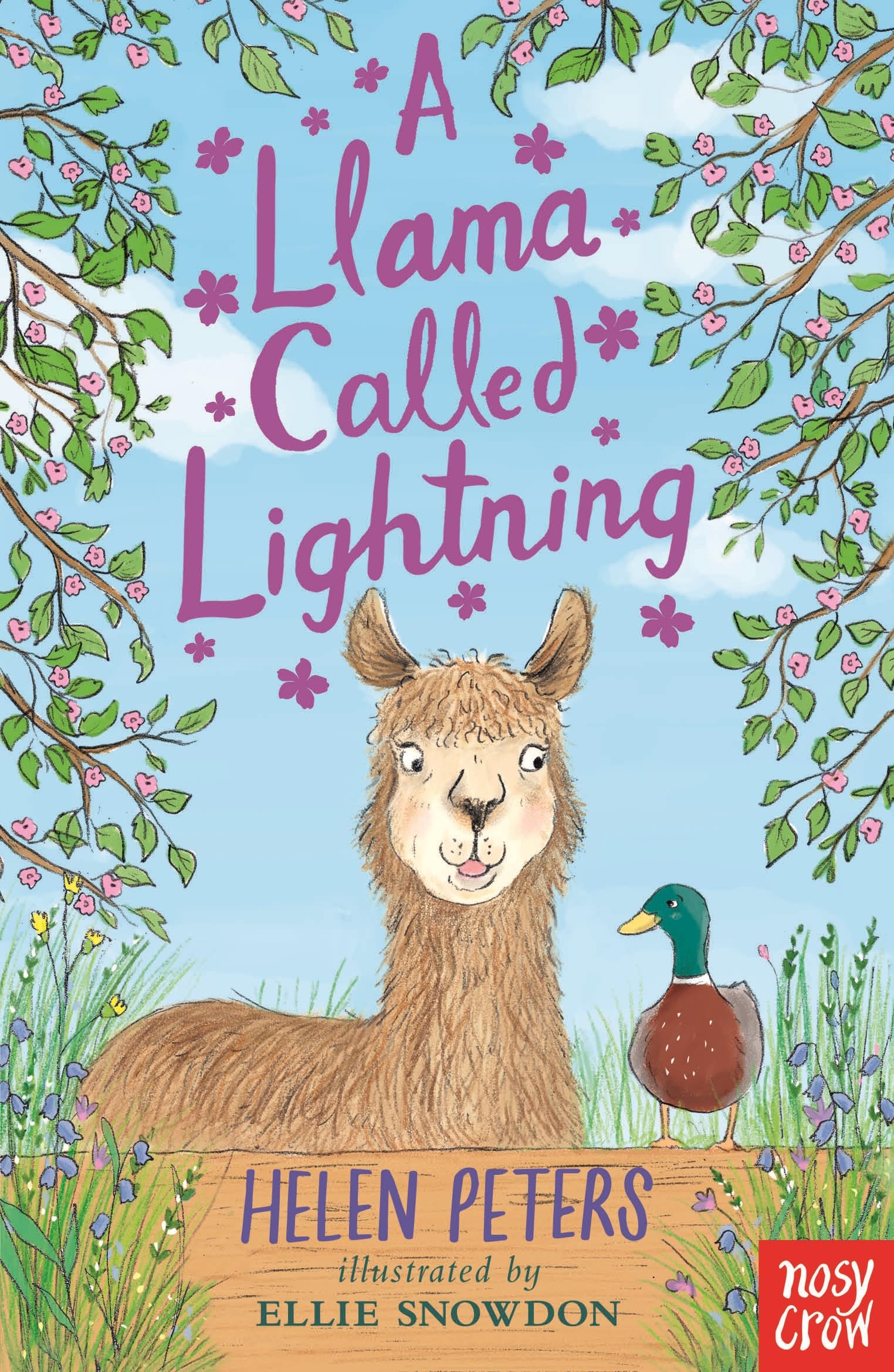 A Llama Called Lightning (The Jasmine Green Series) Non-fiction