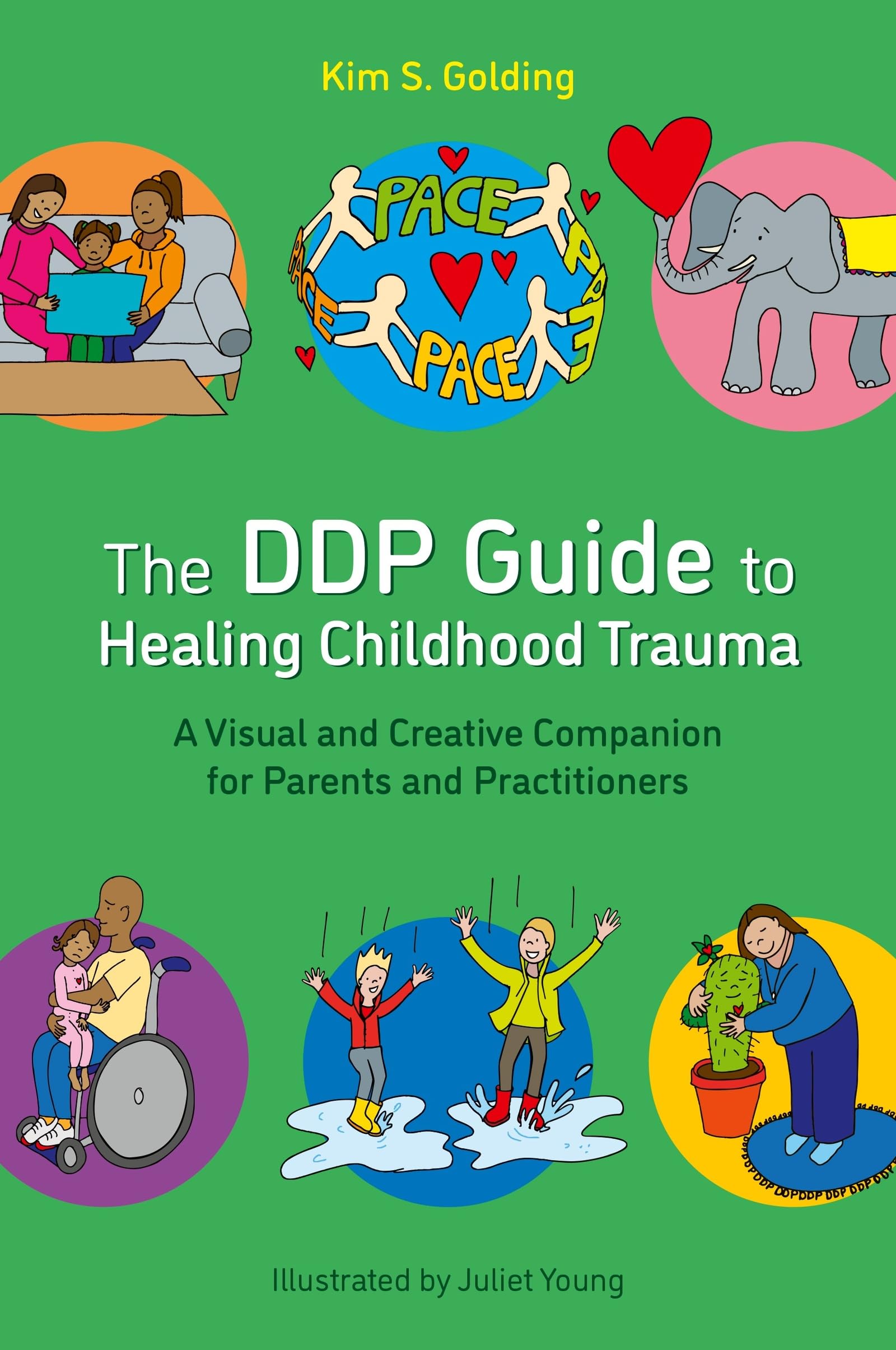The Ddp Guide to Healing Childhood Trauma: A Visual and Creative Companion for Parents and Practitioners Medicine