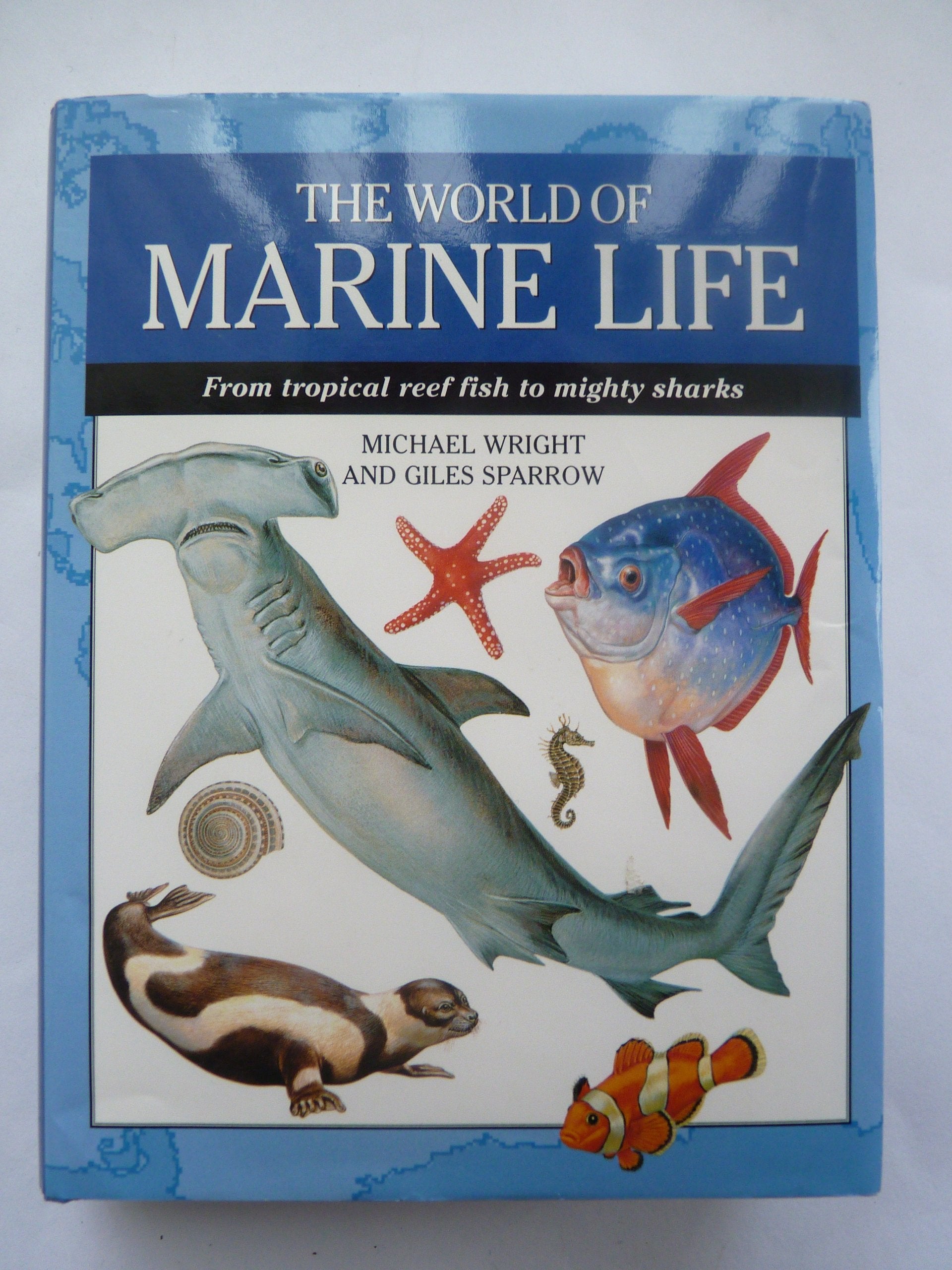 World of Marine Life: From Tropical Reef Fish to Mighty Sharks (Expert Guide S.) Mathematics