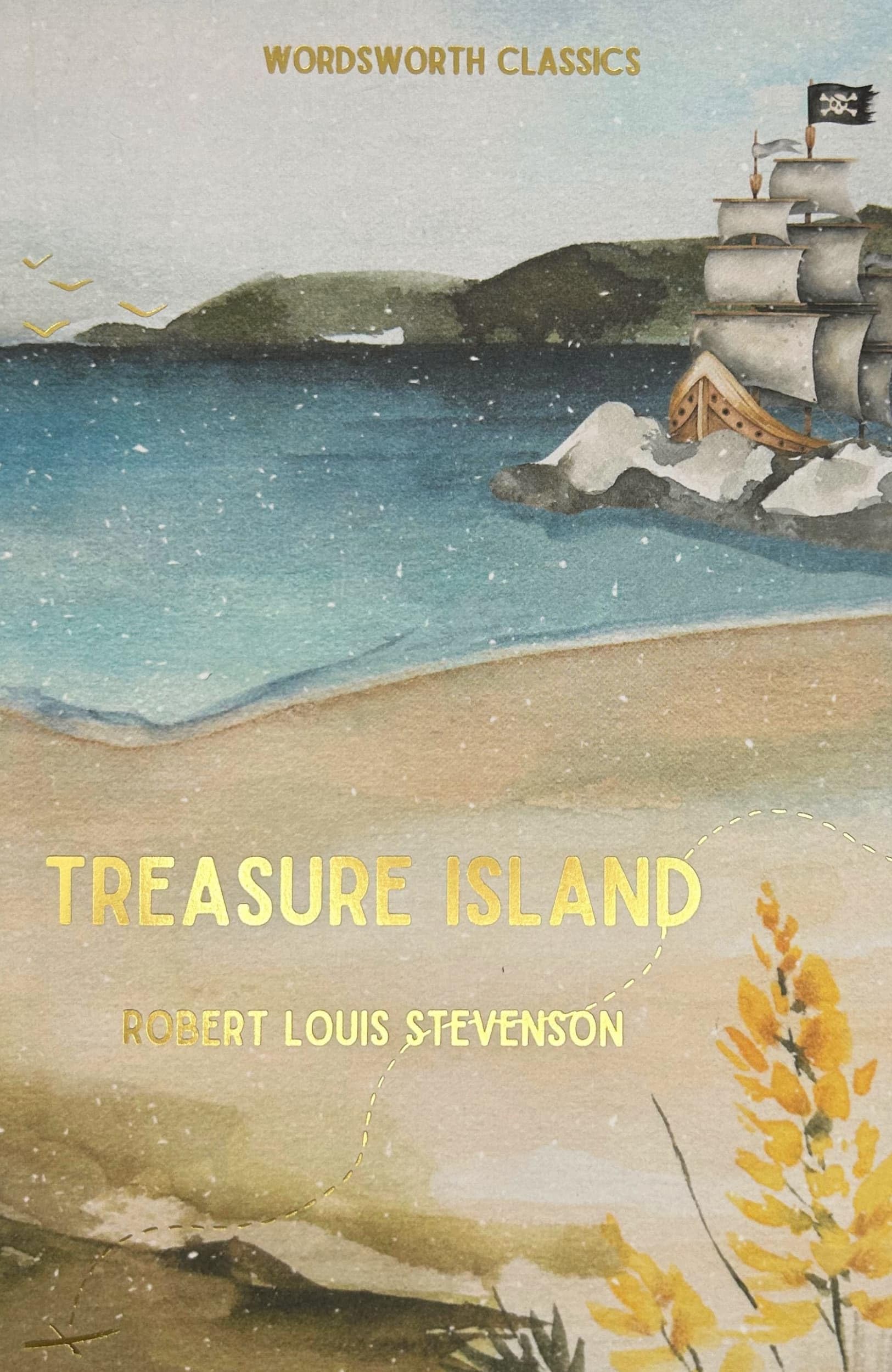 Treasure Island Novels & Short Stories
