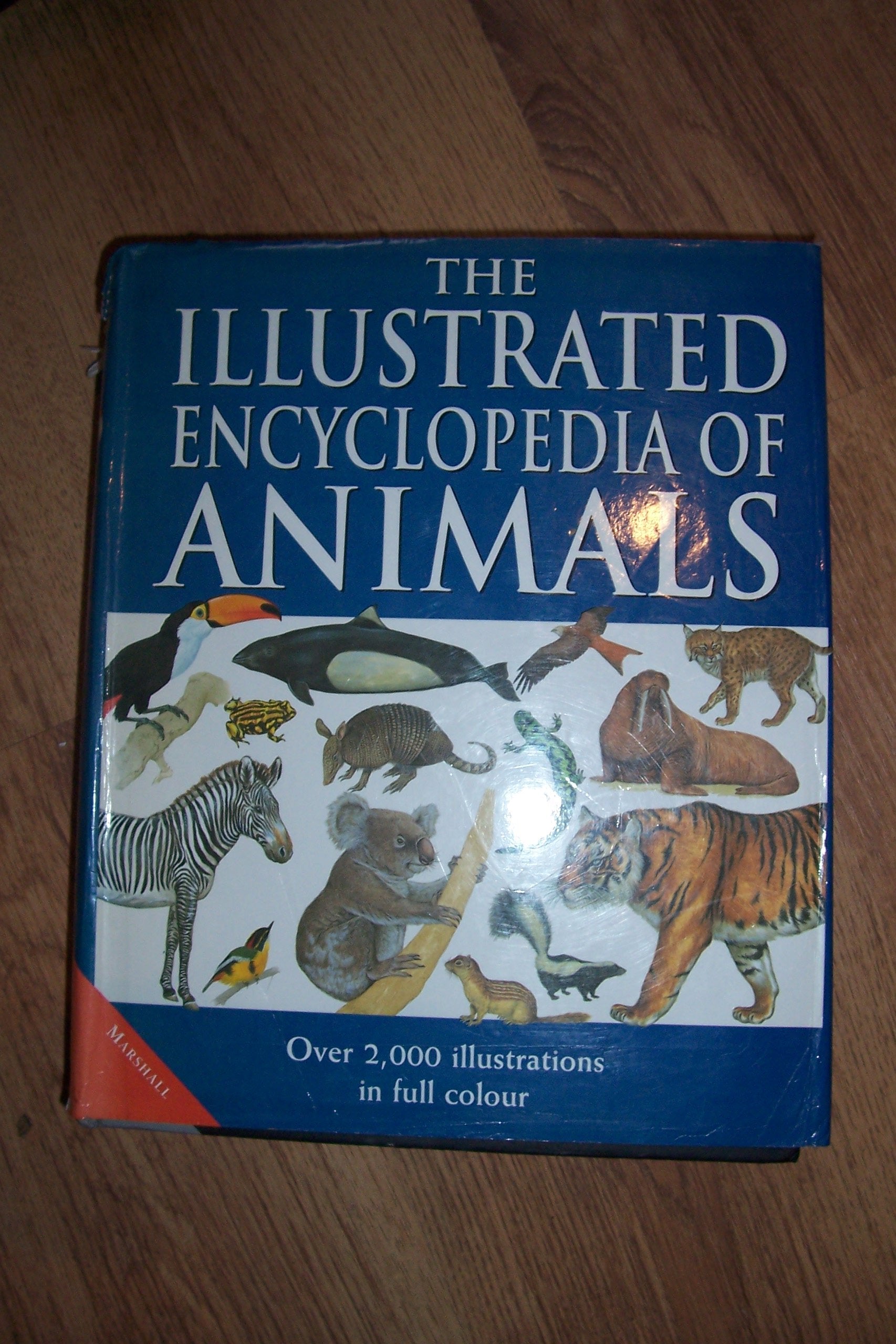 The Marshall Illustrated Encyclopedia of Animals Mathematics