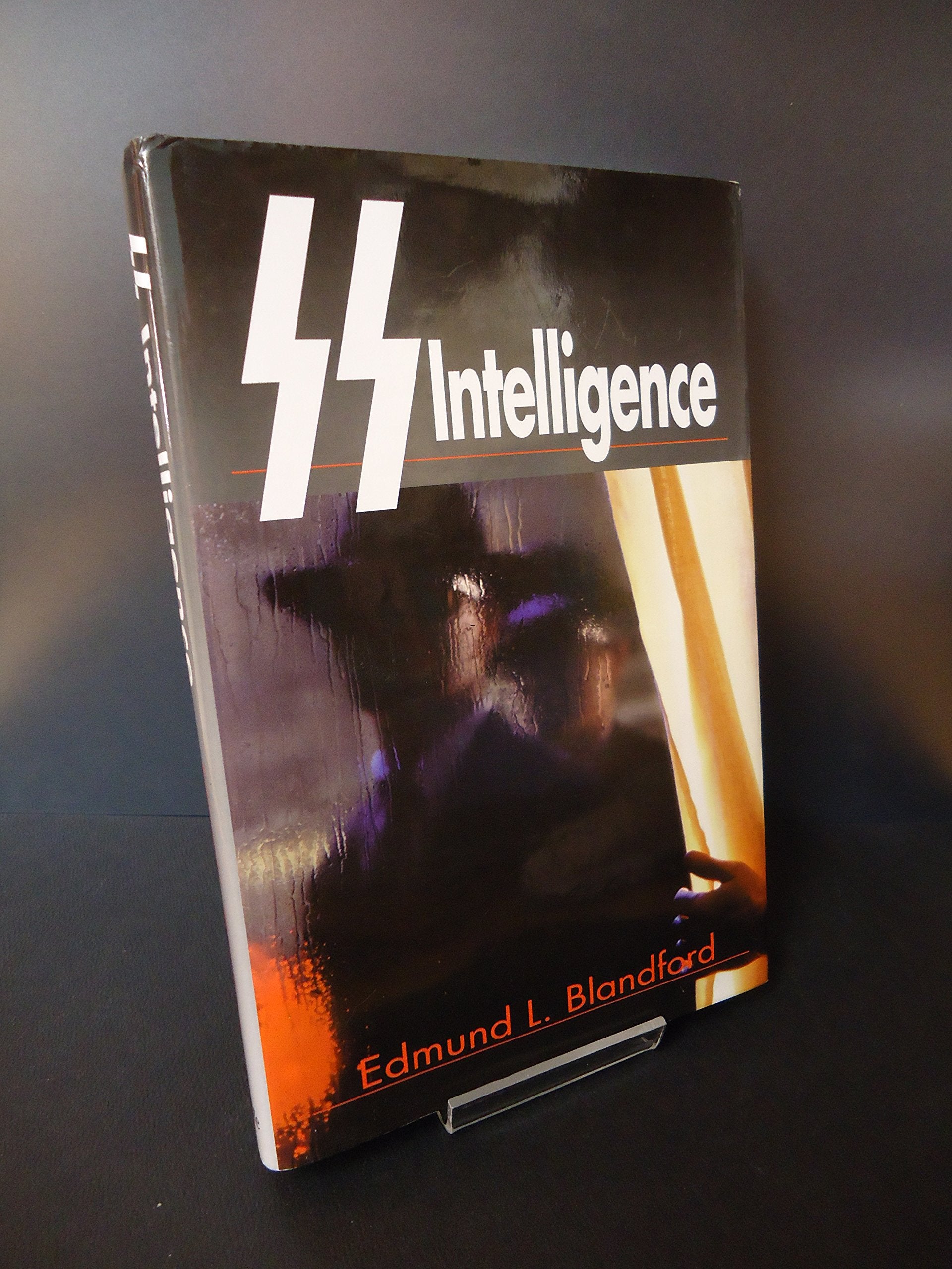 Ss Intelligence: The Nazi Secret Service Politics & History