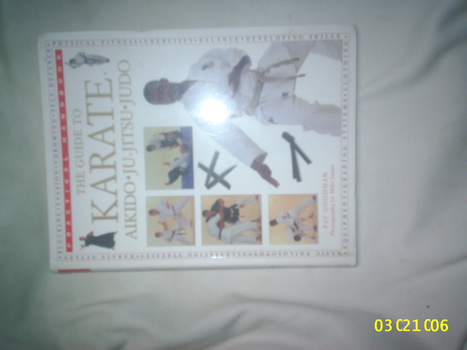 The Guide to Karate/Aikido/Ju-Jitsu/Judo (Practical Handbook) Leisure & Fun