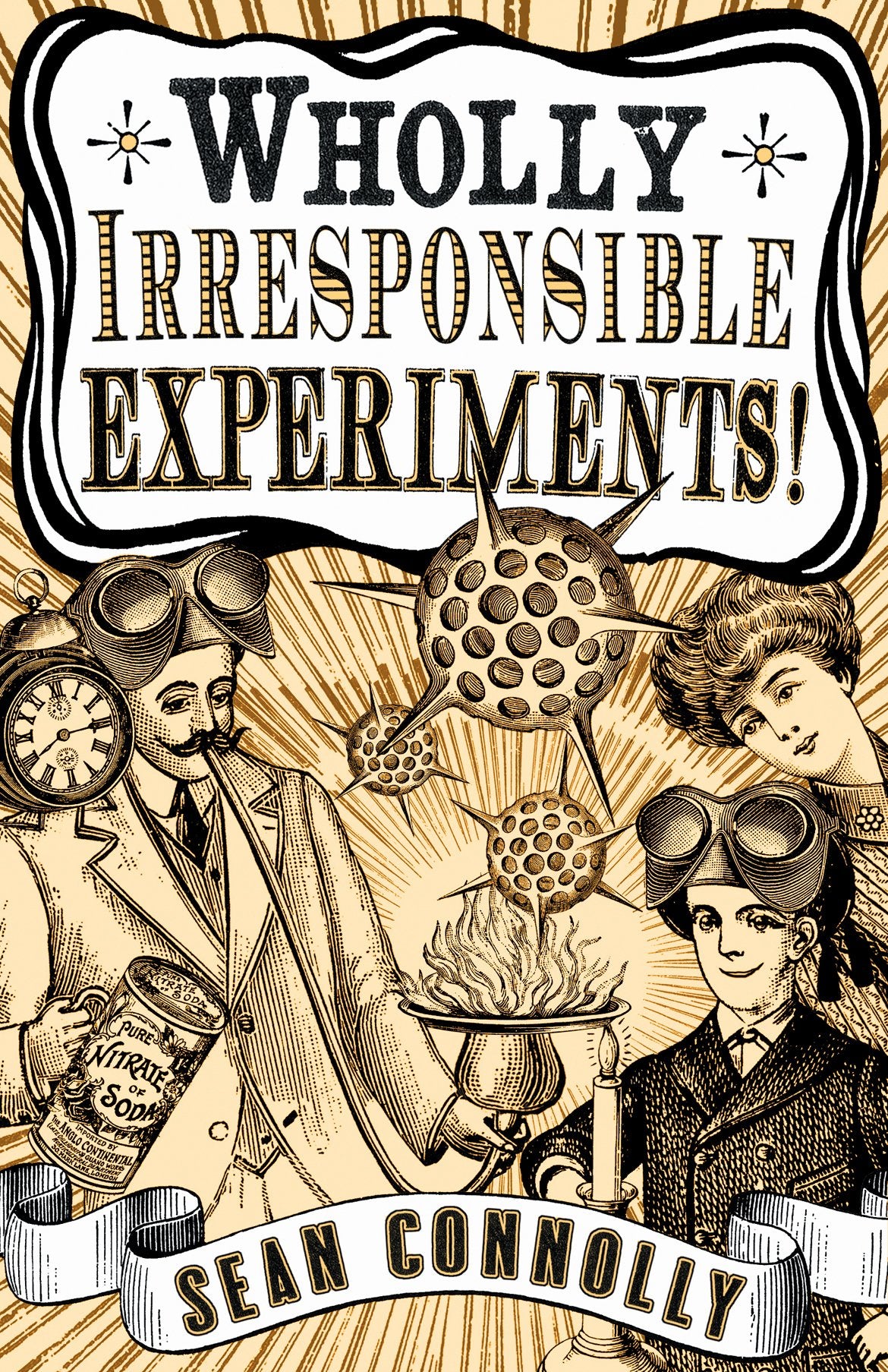 Wholly Irresponsible Experiments Hobbies & Crafts