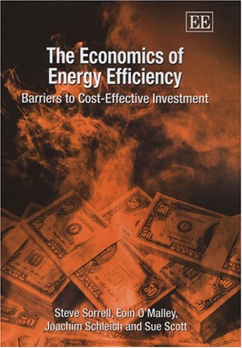 The Economics of Energy Efficiency Business, Finance & Career
