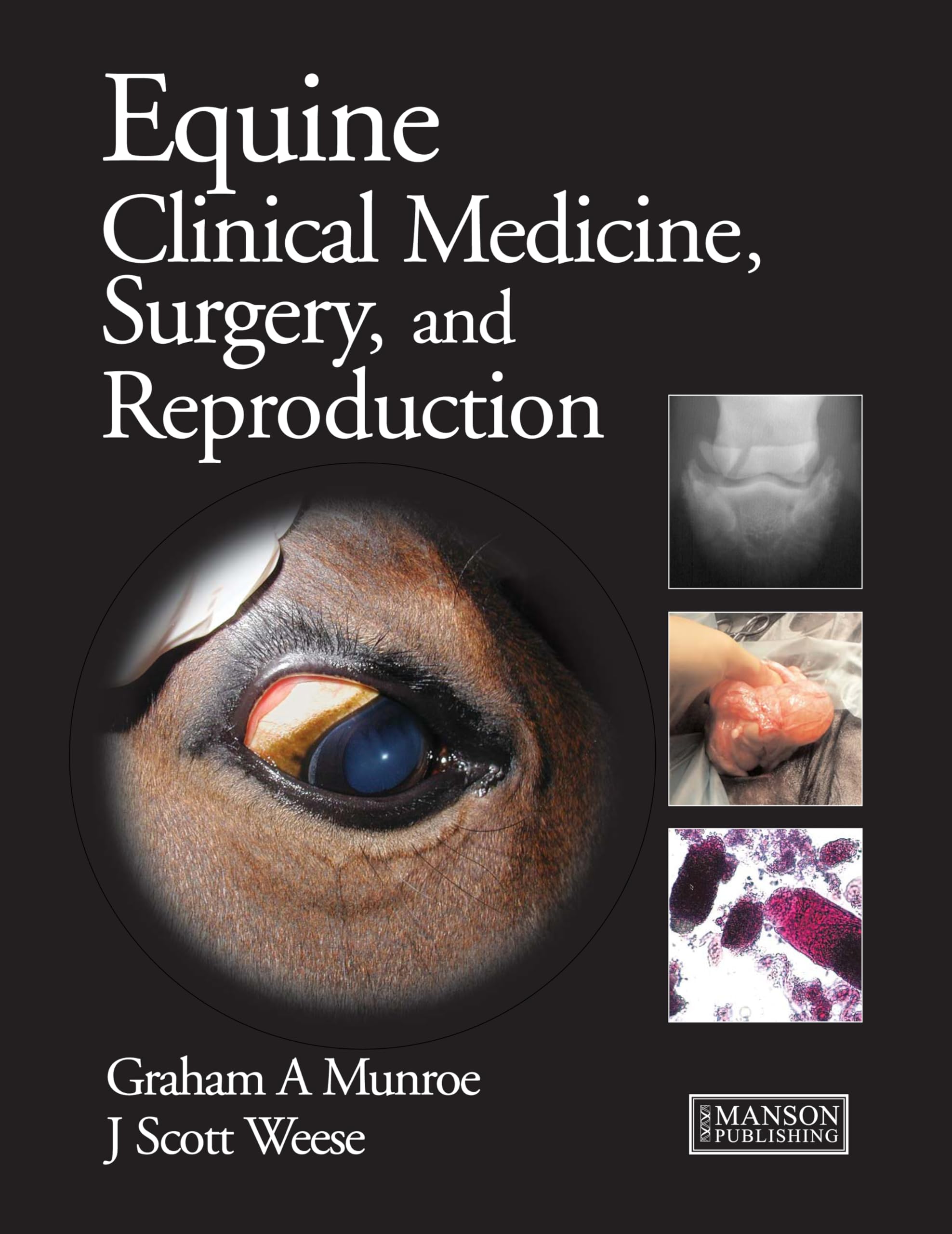 Equine Clinical Medicine, Surgery and Reproduction book