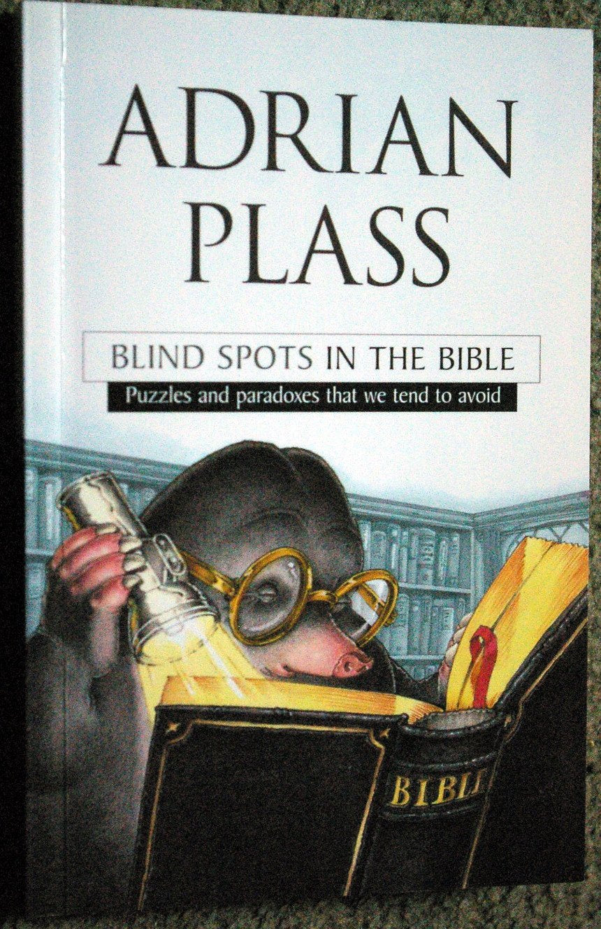 Blind Spots in the Bible: Puzzles and paradoxes that we tend to avoid Religion & Esotericism