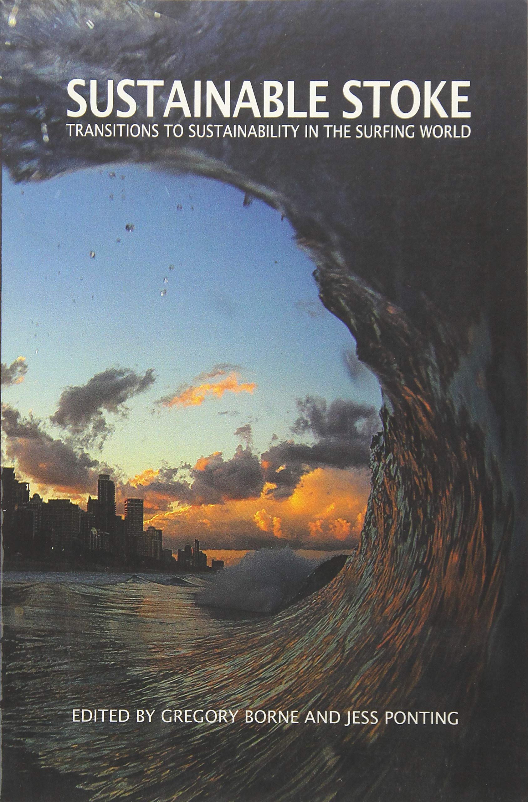 Sustainable Stoke: Transitions to Sustainability in the Surfing World Business, Finance & Career