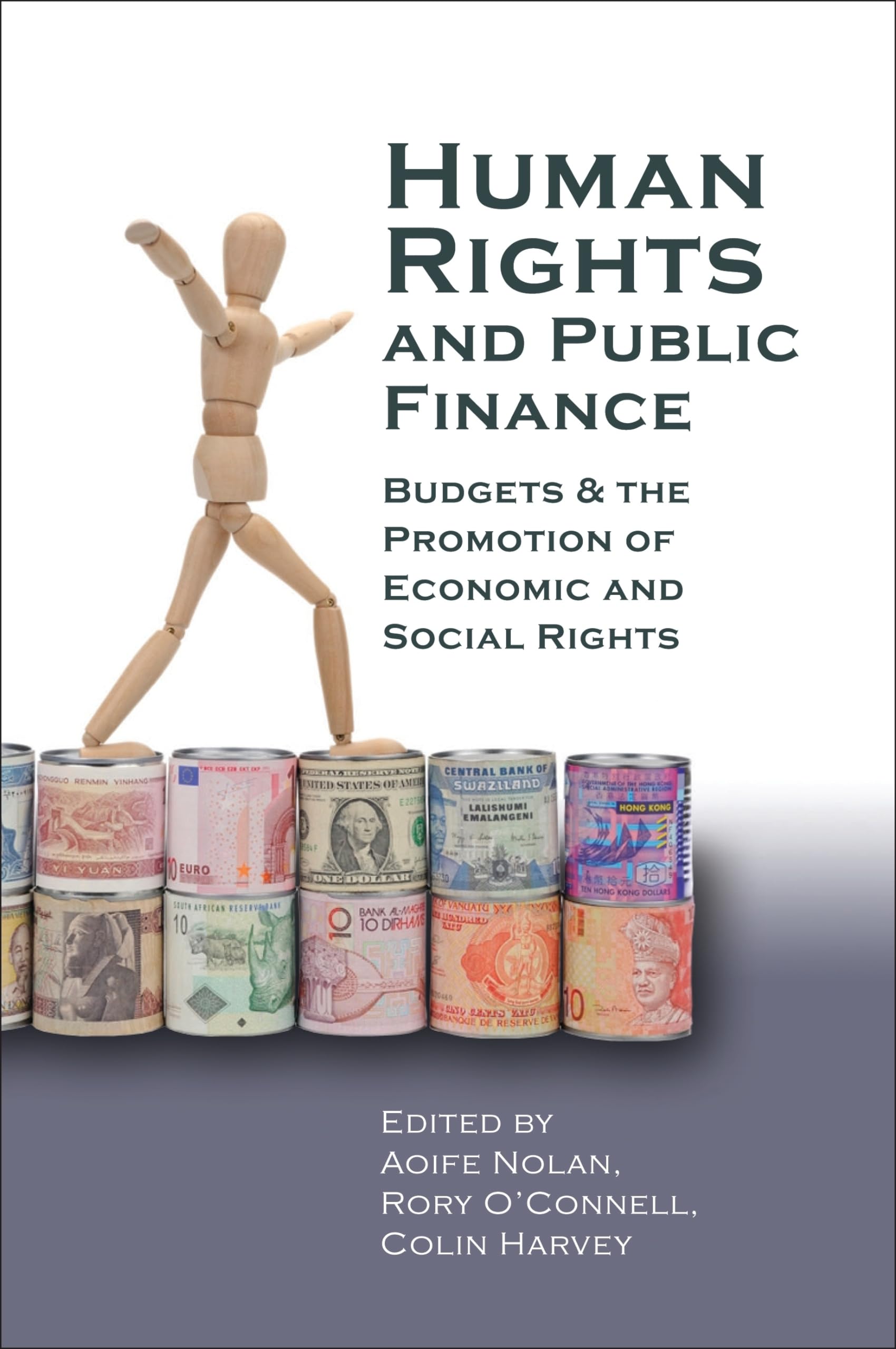 Human Rights and Public Finance Law