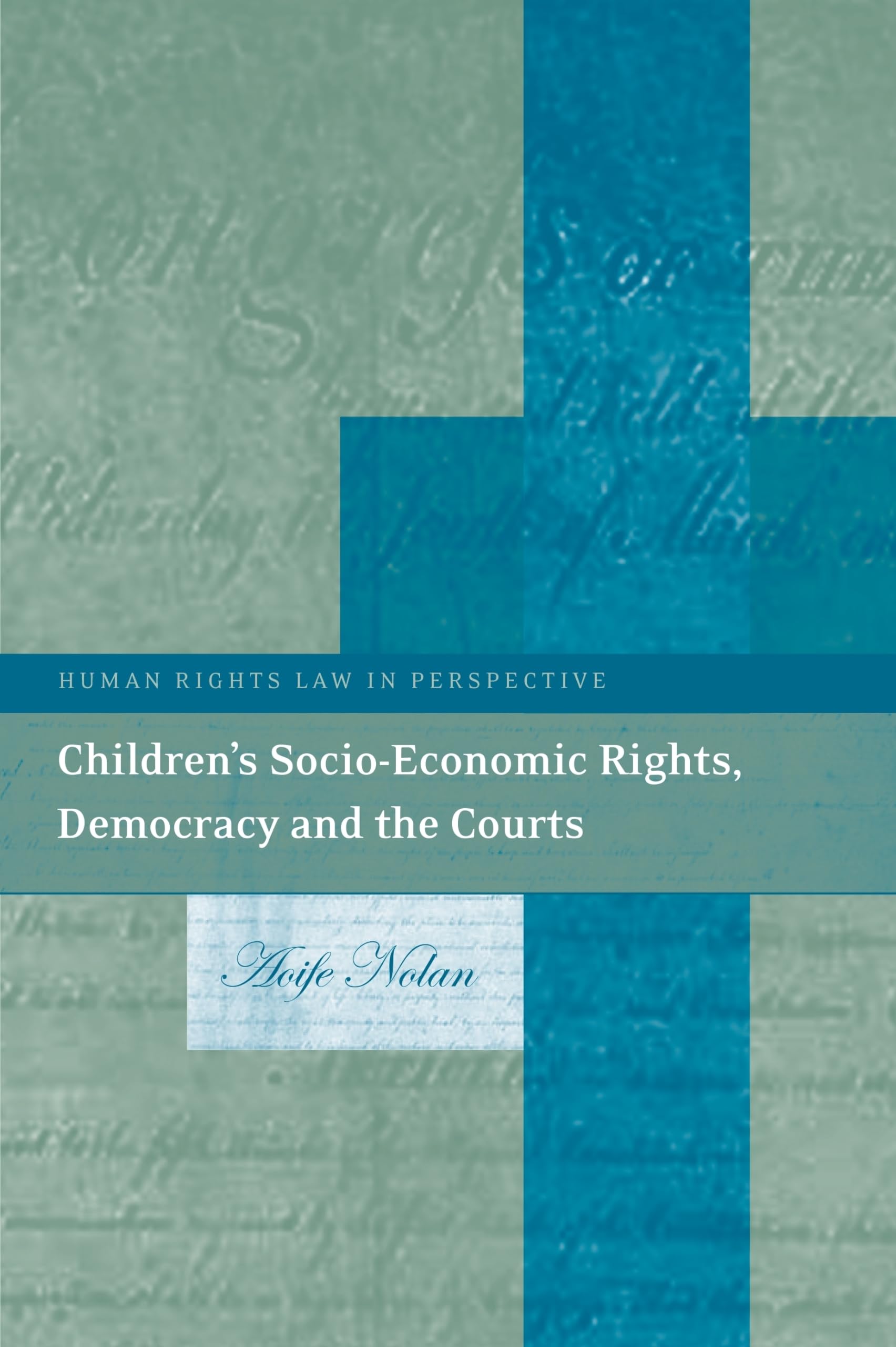 Children's Socio-Economic Rights, Democracy and the Courts Law