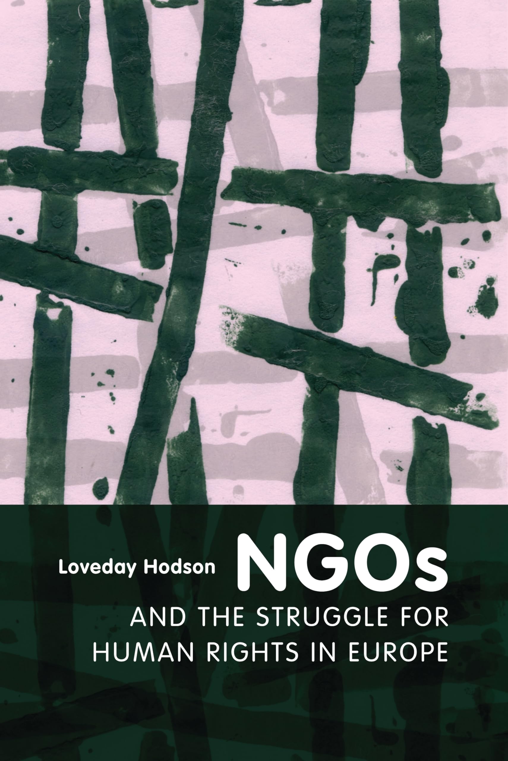 NGOs and the Struggle for Human Rights in Europe Law