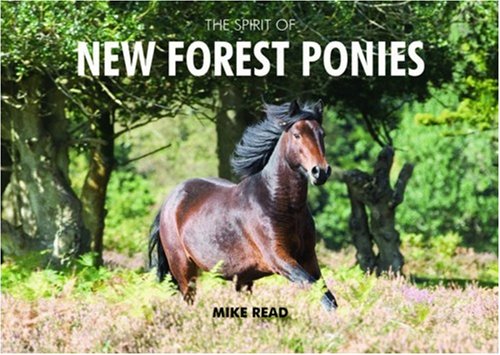 The Spirit of the New Forest Ponies Travel