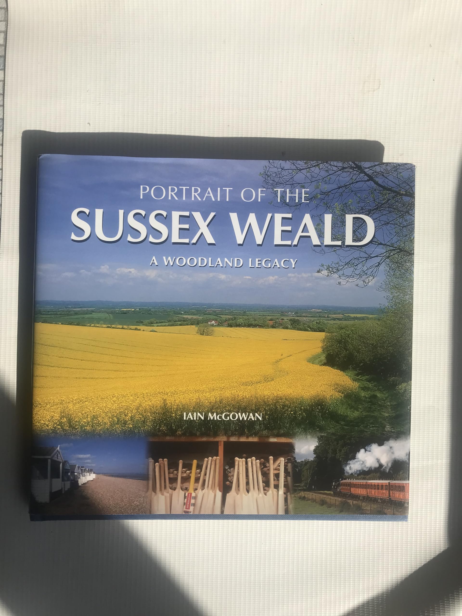 Portrait of the Sussex Weald Politics & History