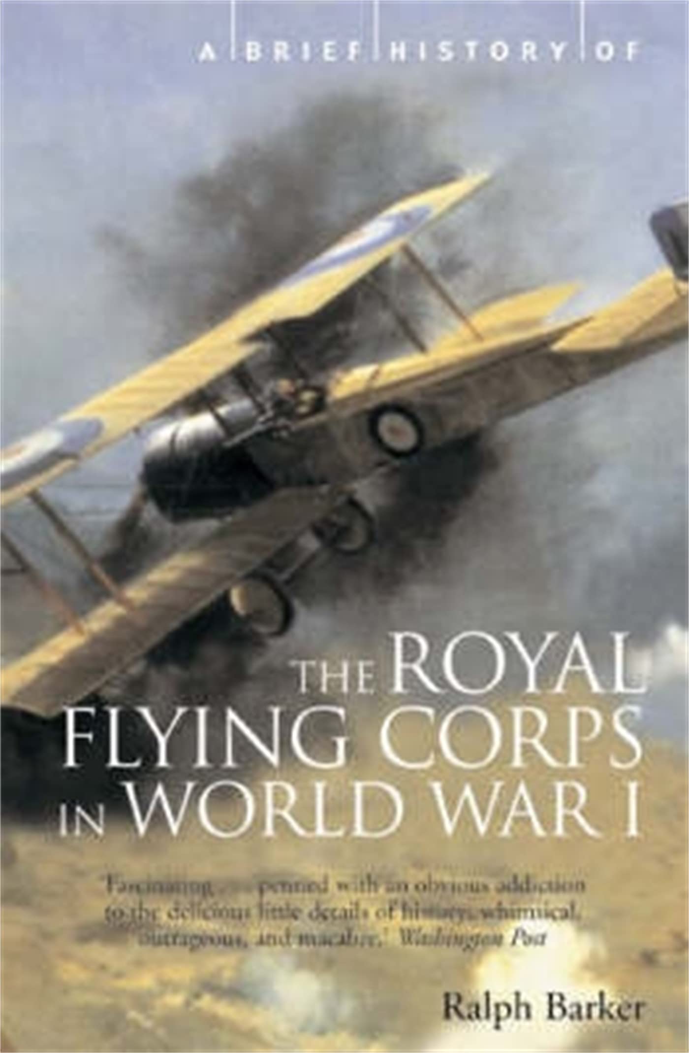 A Brief History of the Royal Flying Corps in World War One Social Sciences