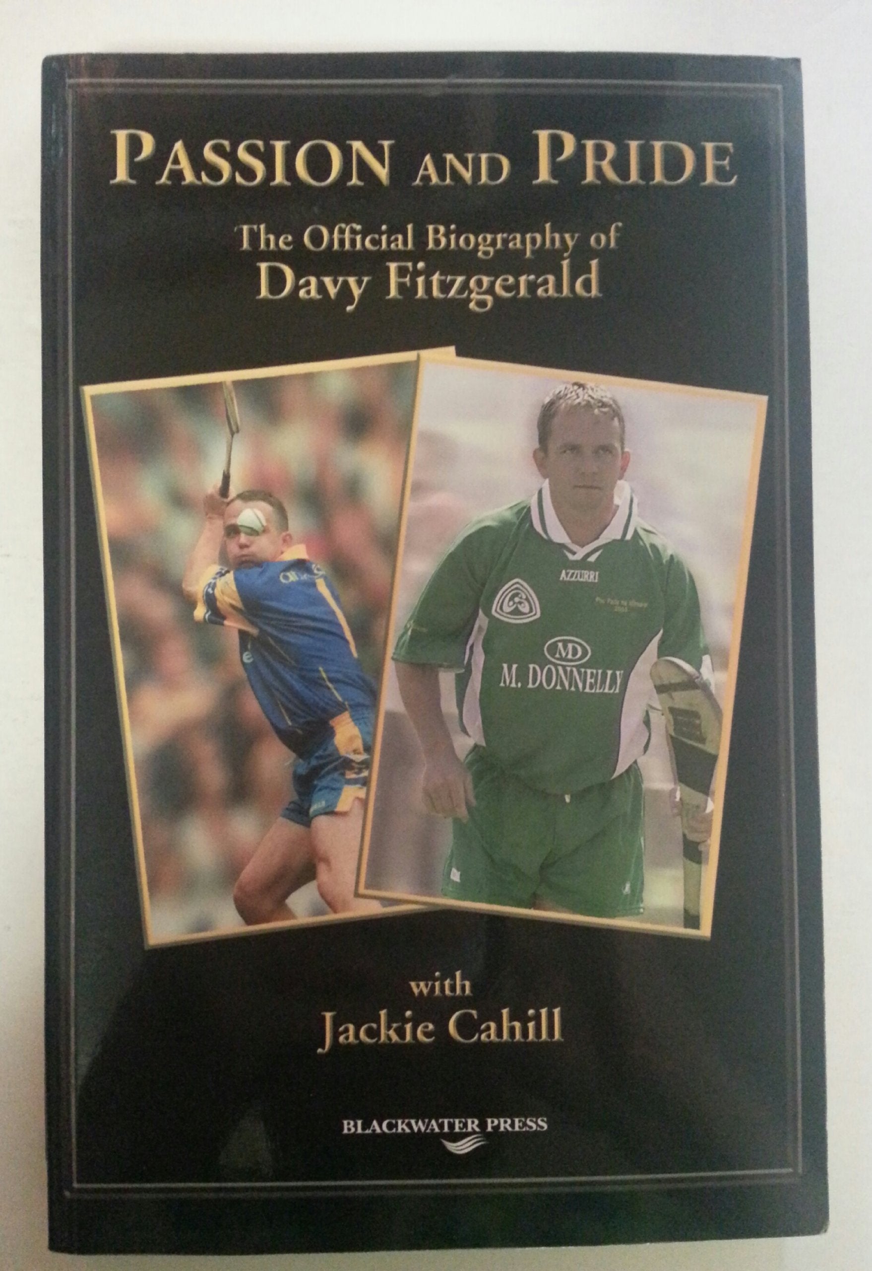 Passion and Pride: The Official Biography of Davy Fitzgerald book