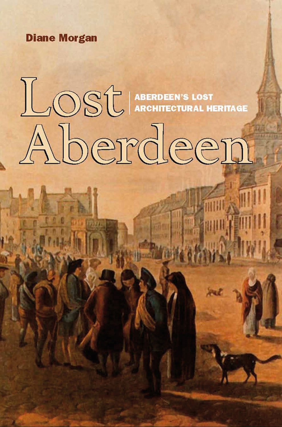 Lost Aberdeen: Aberdeen's Lost Architectural History (Lost History) Politics & History