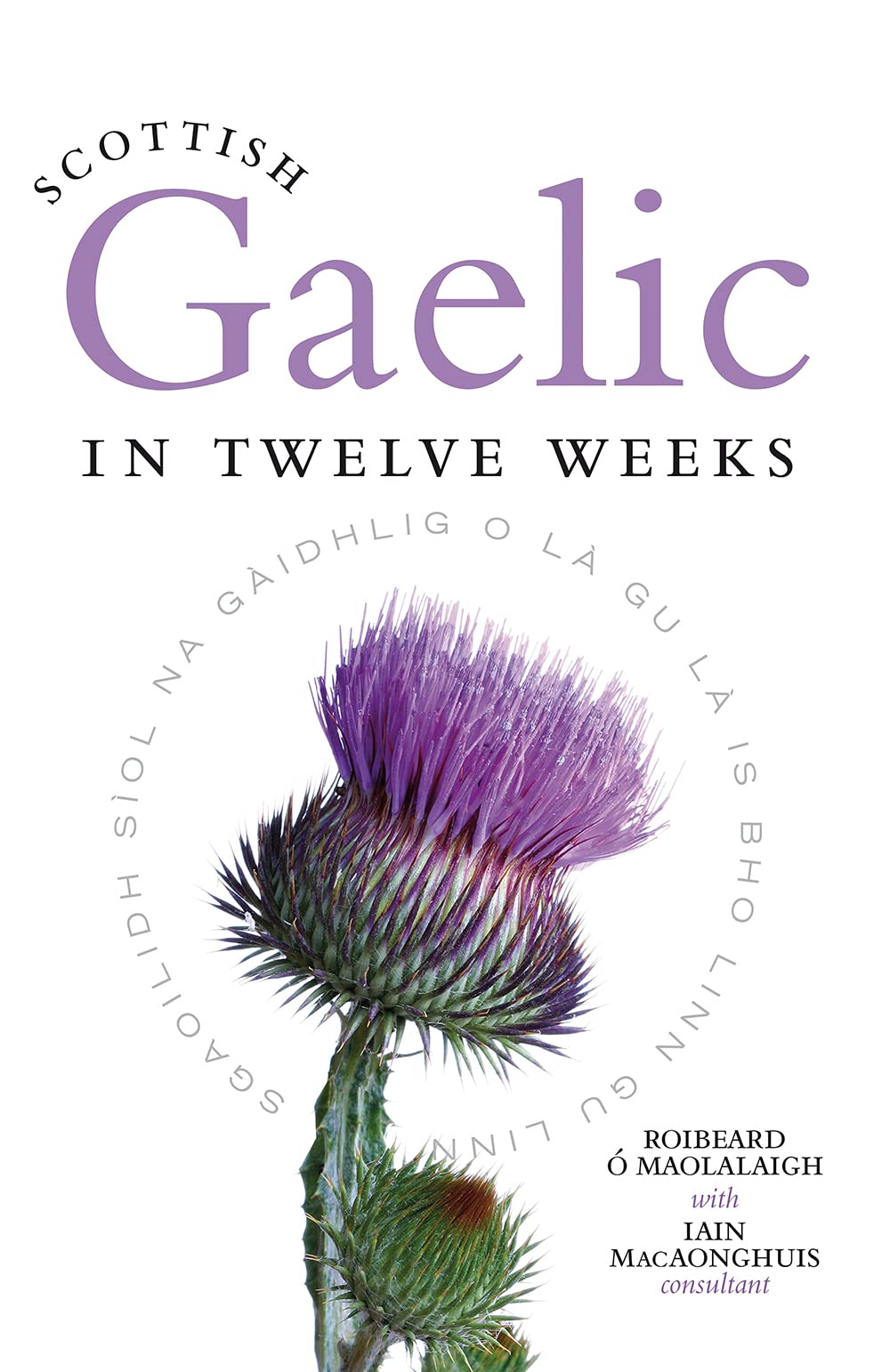 Scottish Gaelic in Twelve Weeks Foreign Languages ​​& Dictionaries