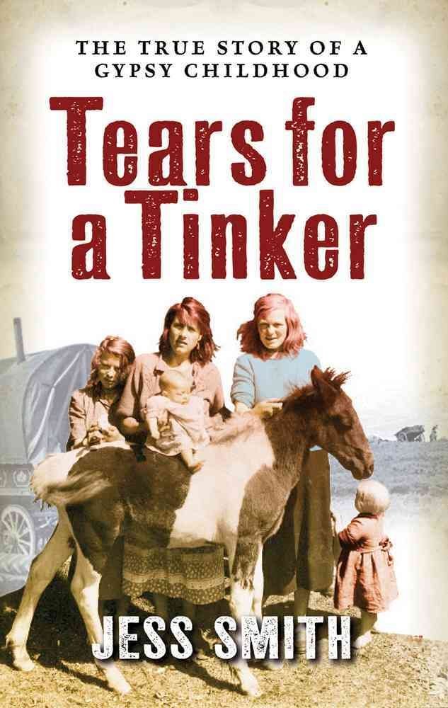 Tears for a Tinker (Jessie's Journey, Band 3) Politics & Society