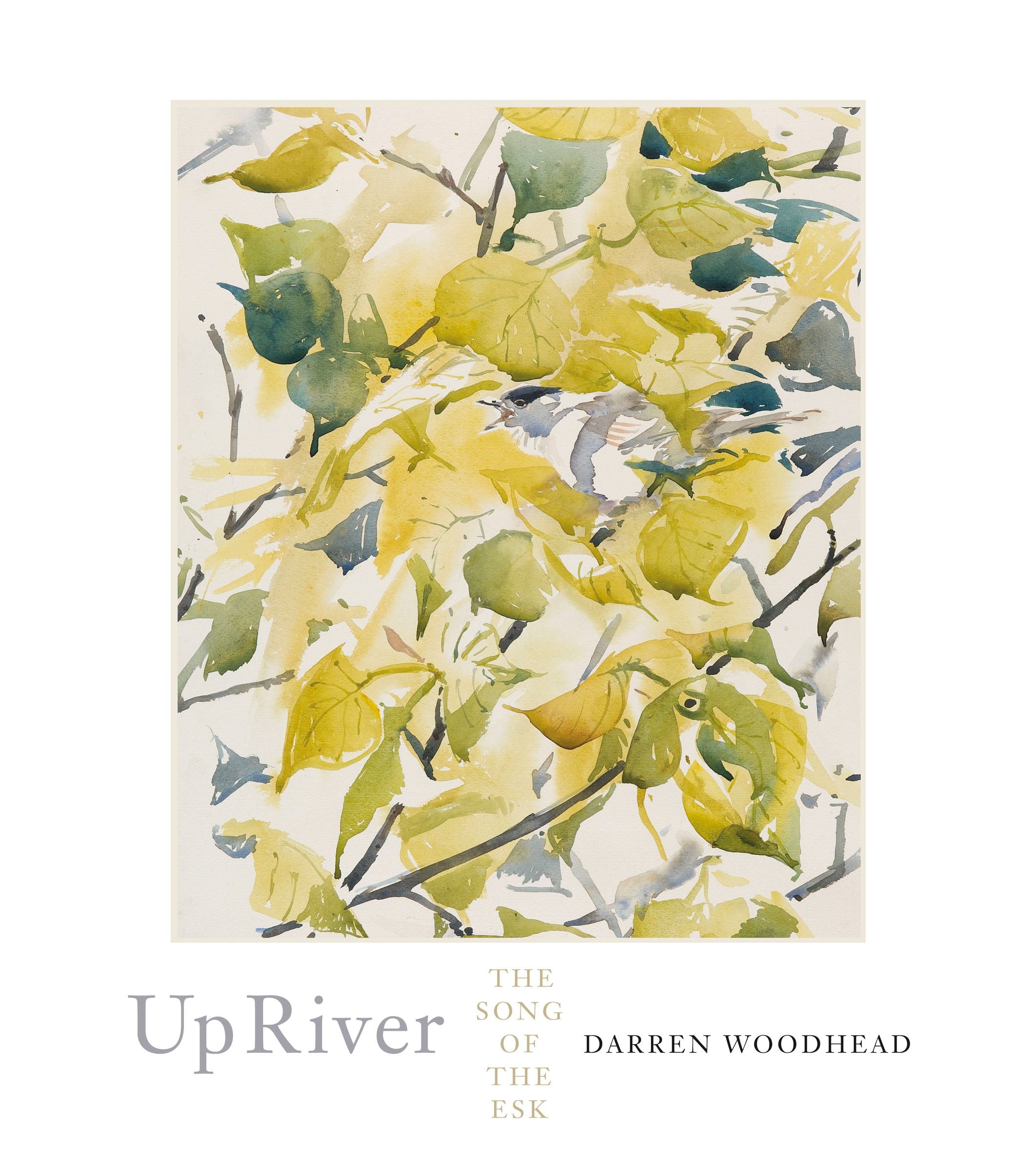 Up River: The Song of the Esk Film, Art & Culture