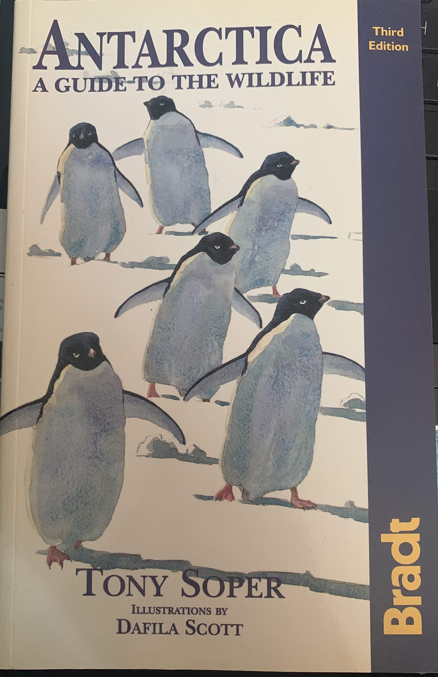 Antarctica: A Guide to the Wildlife (Bradt Wildlife Guides) Mathematics