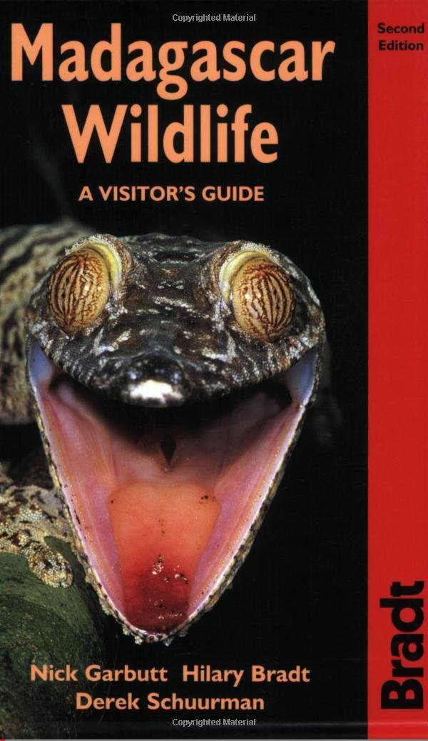 Madagascar Wildlife: A Visitor's Guide (Bradt Wildlife Guides) Mathematics