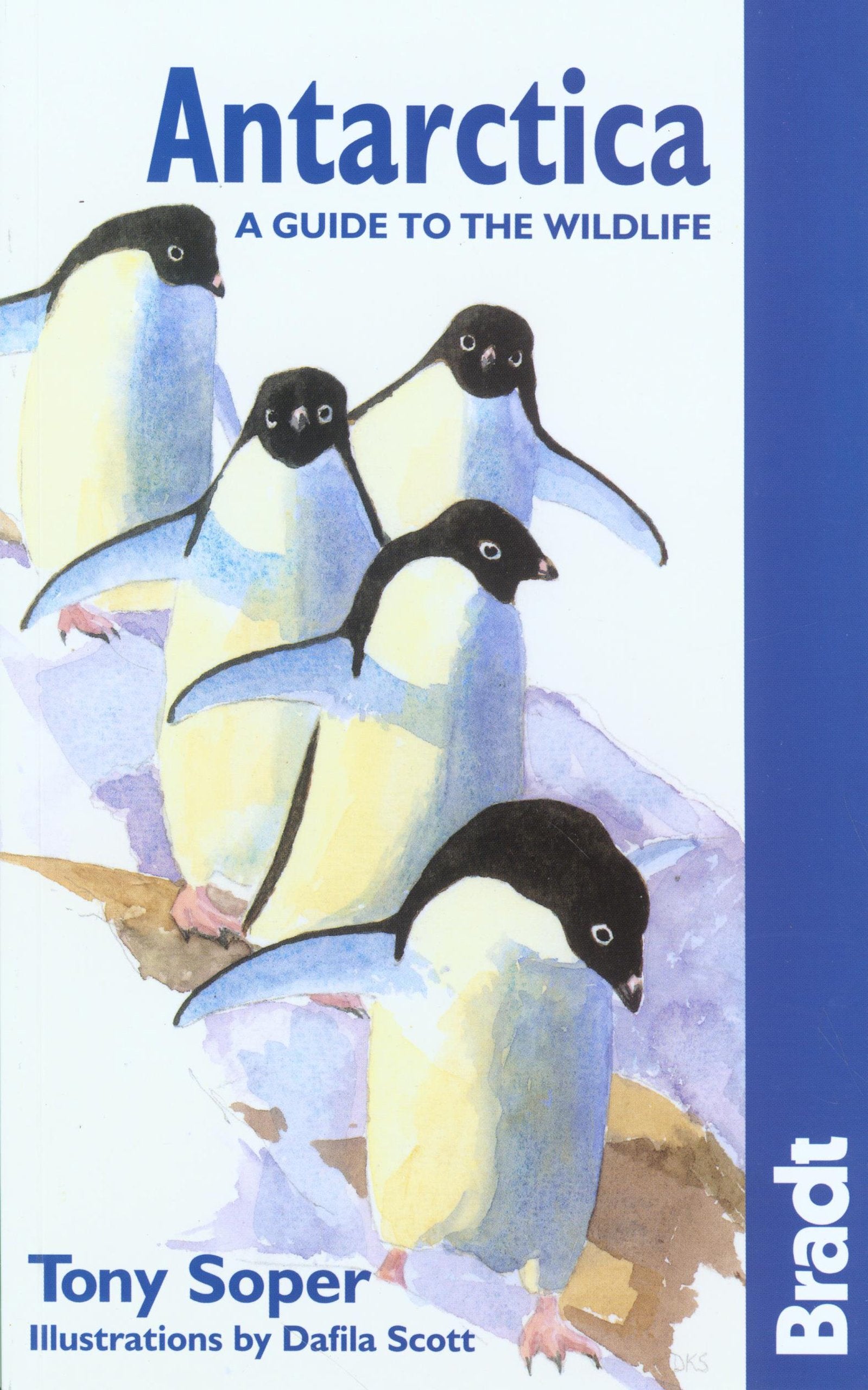 Antarctica: A Guide to the Wildlife (Bradt Wildlife Guides) Leisure, Home & Garden