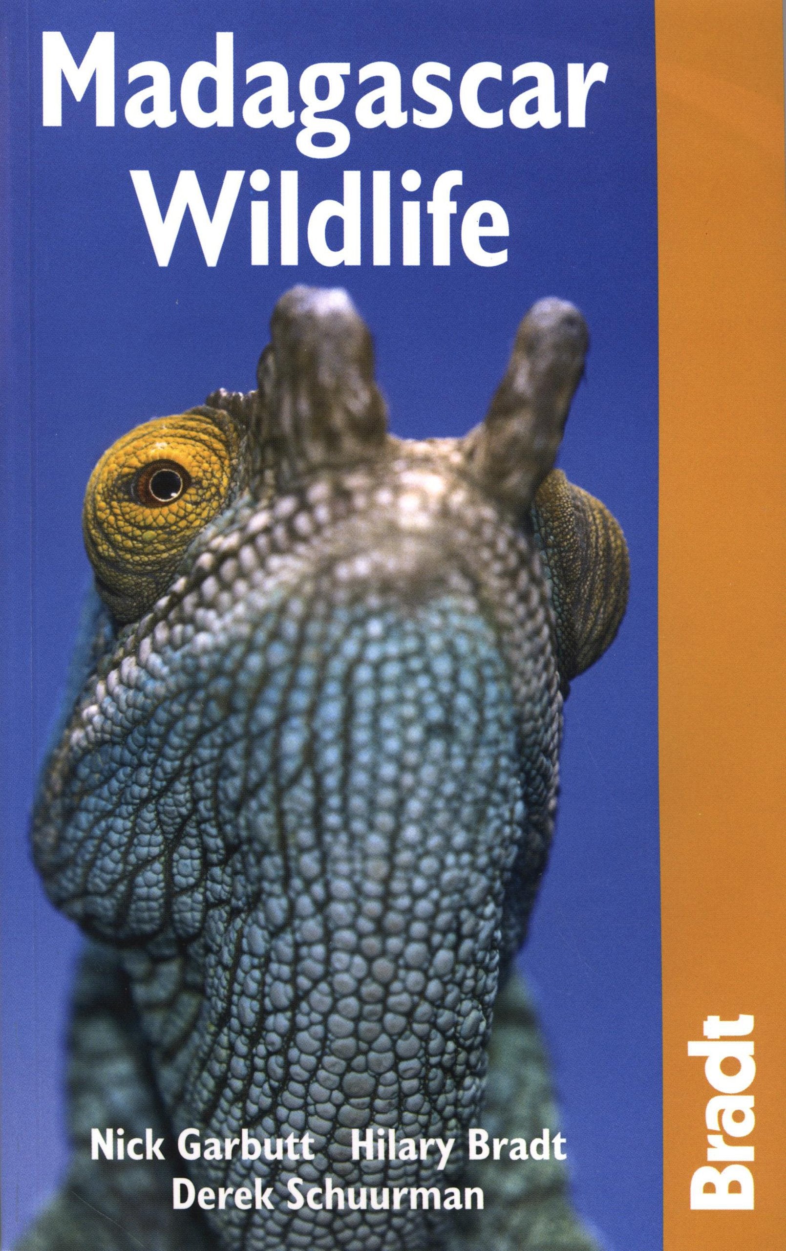 Madagascar Wildlife (Bradt Wildlife Guides) Mathematics