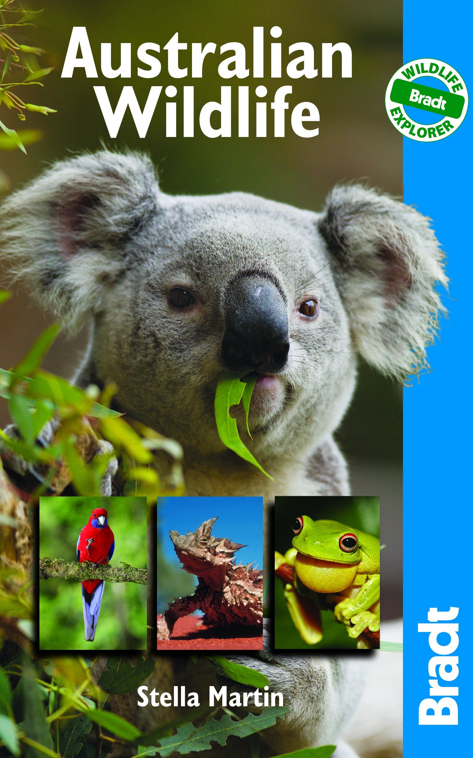 Bradt Australian Wildlife: A Visitor's Guide (Bradt Wildlife Explorer) Mathematics