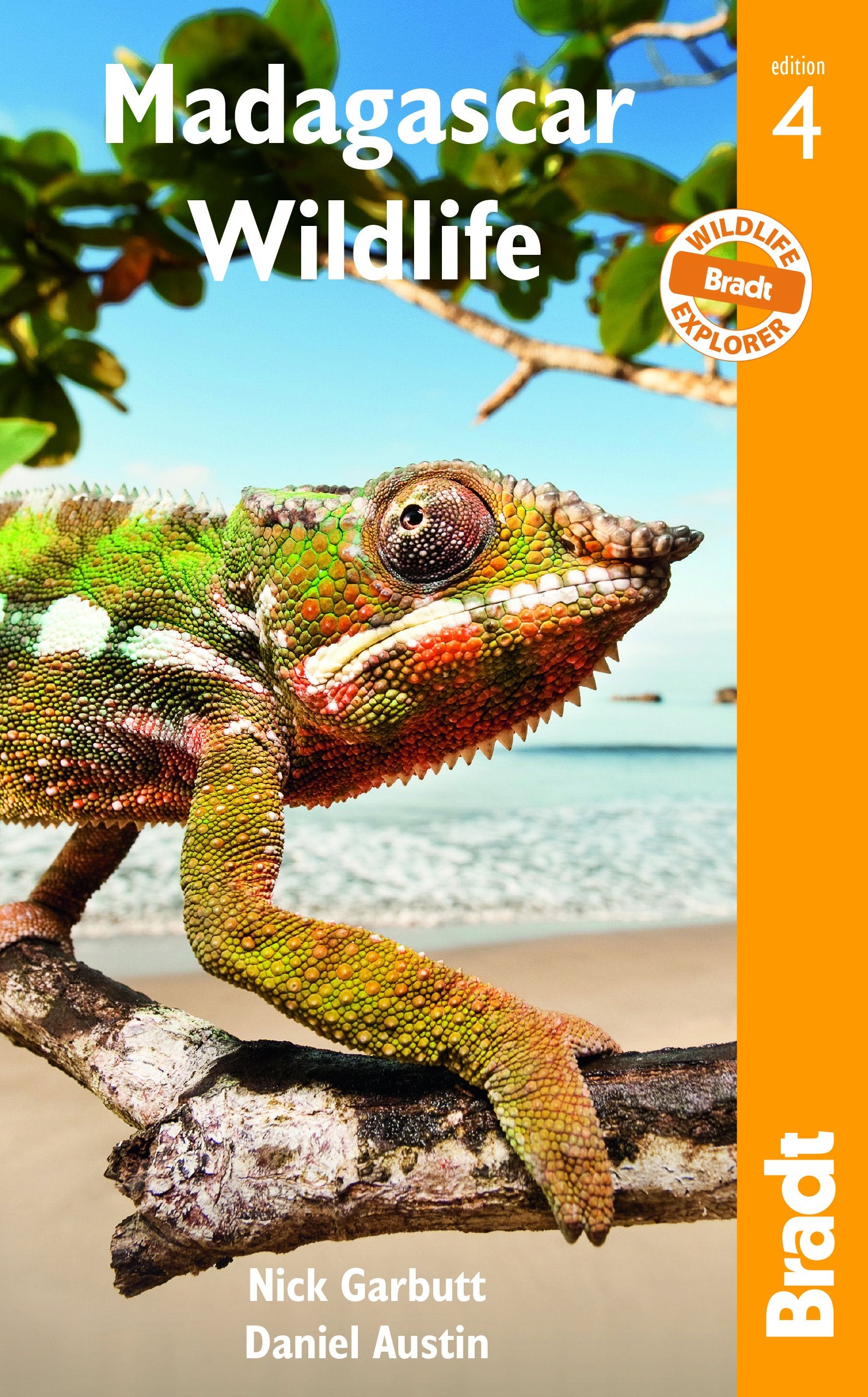 Madagascar Wildlife: A Visitor's Guide (Bradt Wildlife Guides) Mathematics