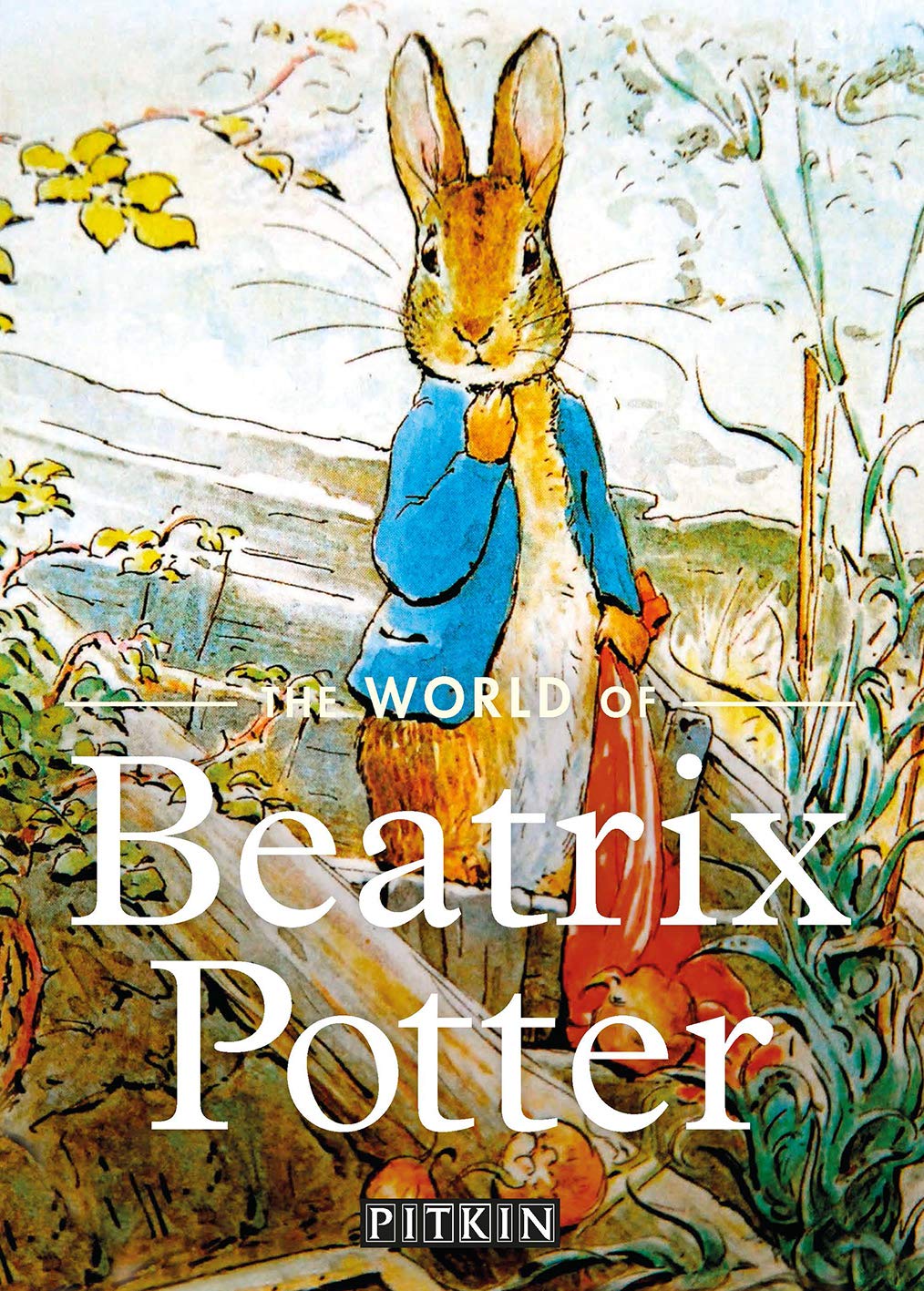 World of Beatrix Potter (Pitkin Biographical) Contemporary literature