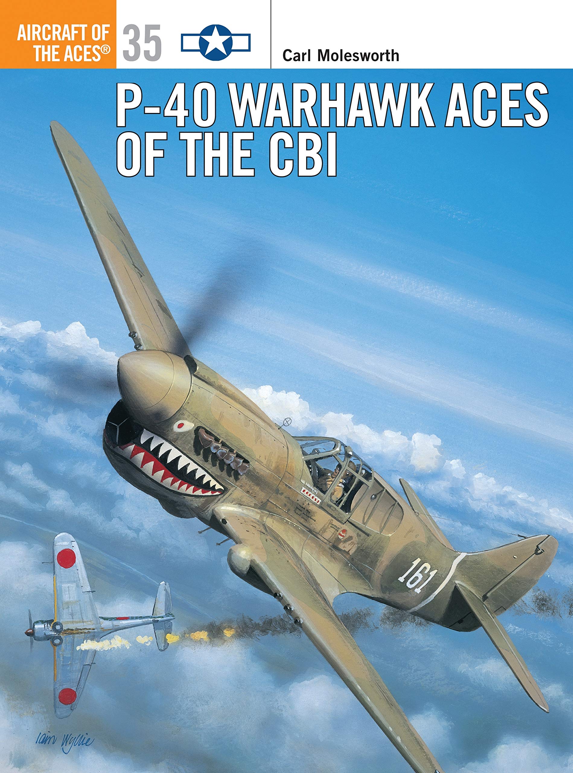 P-40 Warhawk Aces of the CBI (Aircraft of the Aces, 35, Band 35) Social Sciences