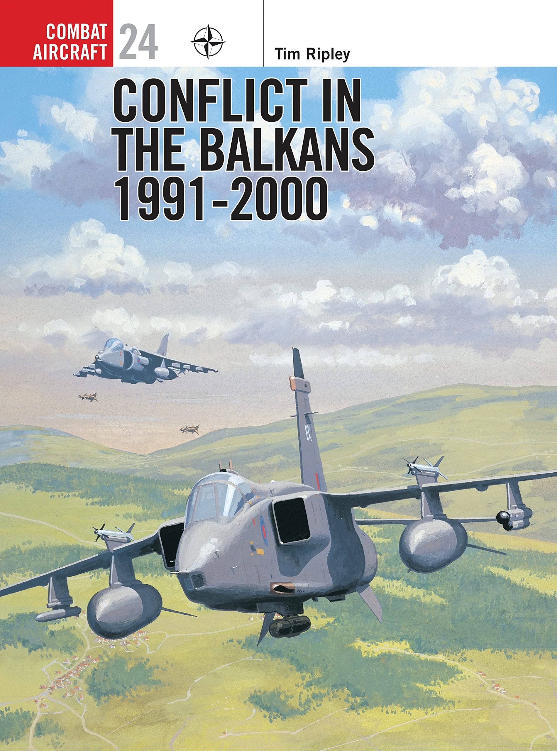 Conflict in the Balkans: 1991-2000 (Combat Aircraft, 24) Social Sciences