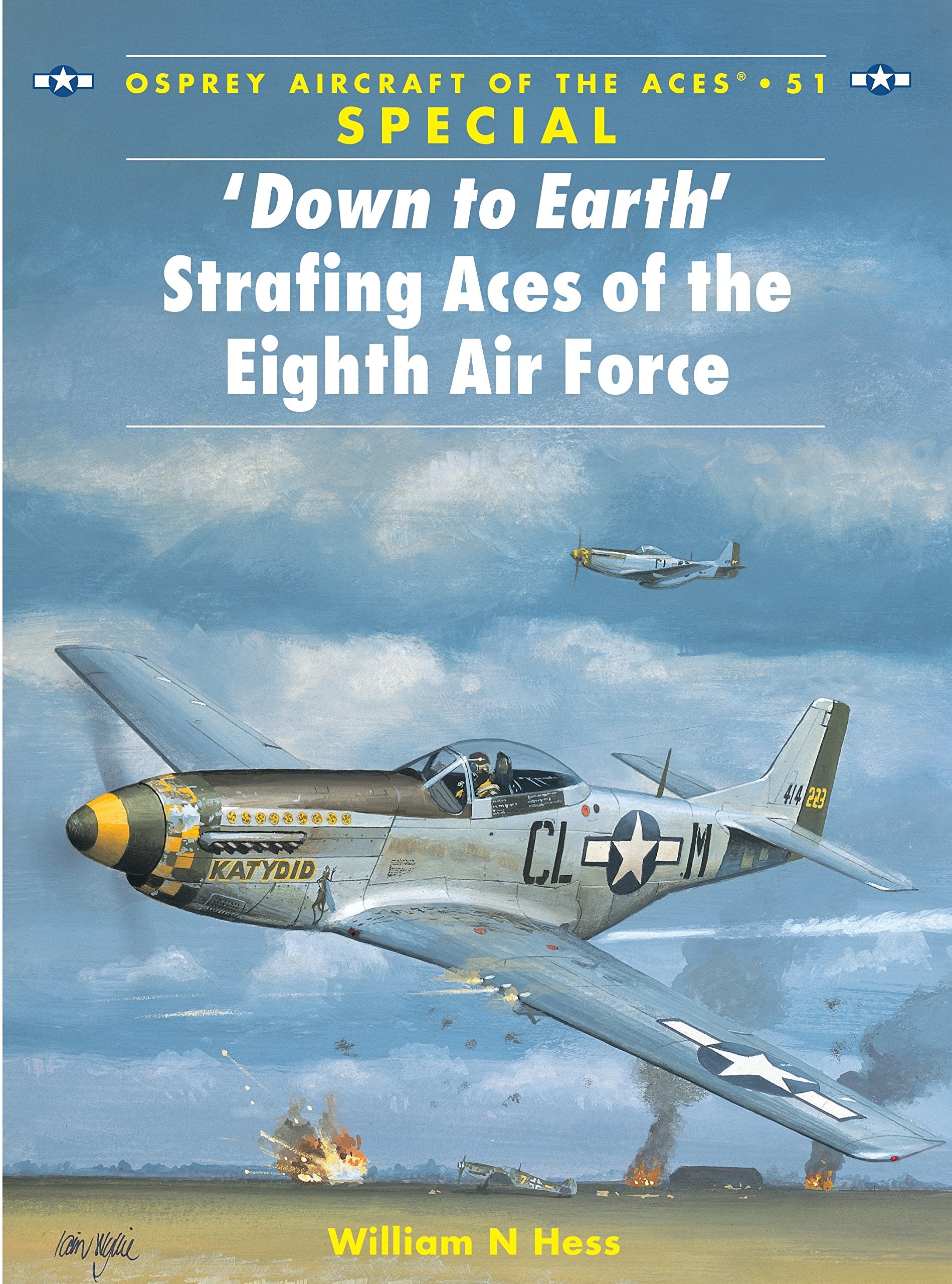 'Down to Earth' Strafing Aces of the Eighth Air Force Social Sciences
