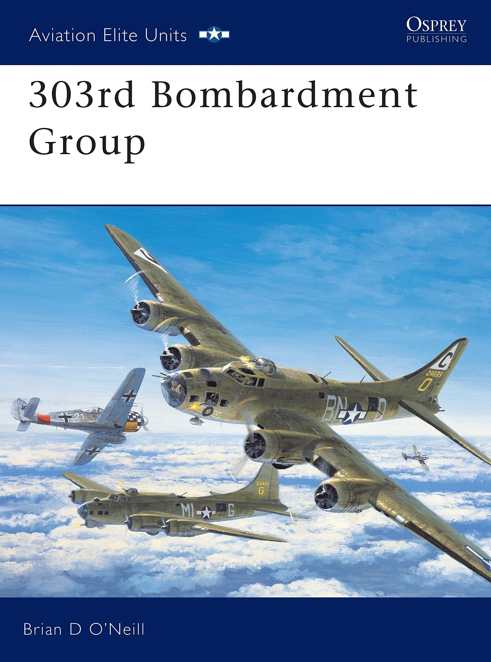 303rd Bombardment Group (Aviation Elite Units, Band 11) Social Sciences