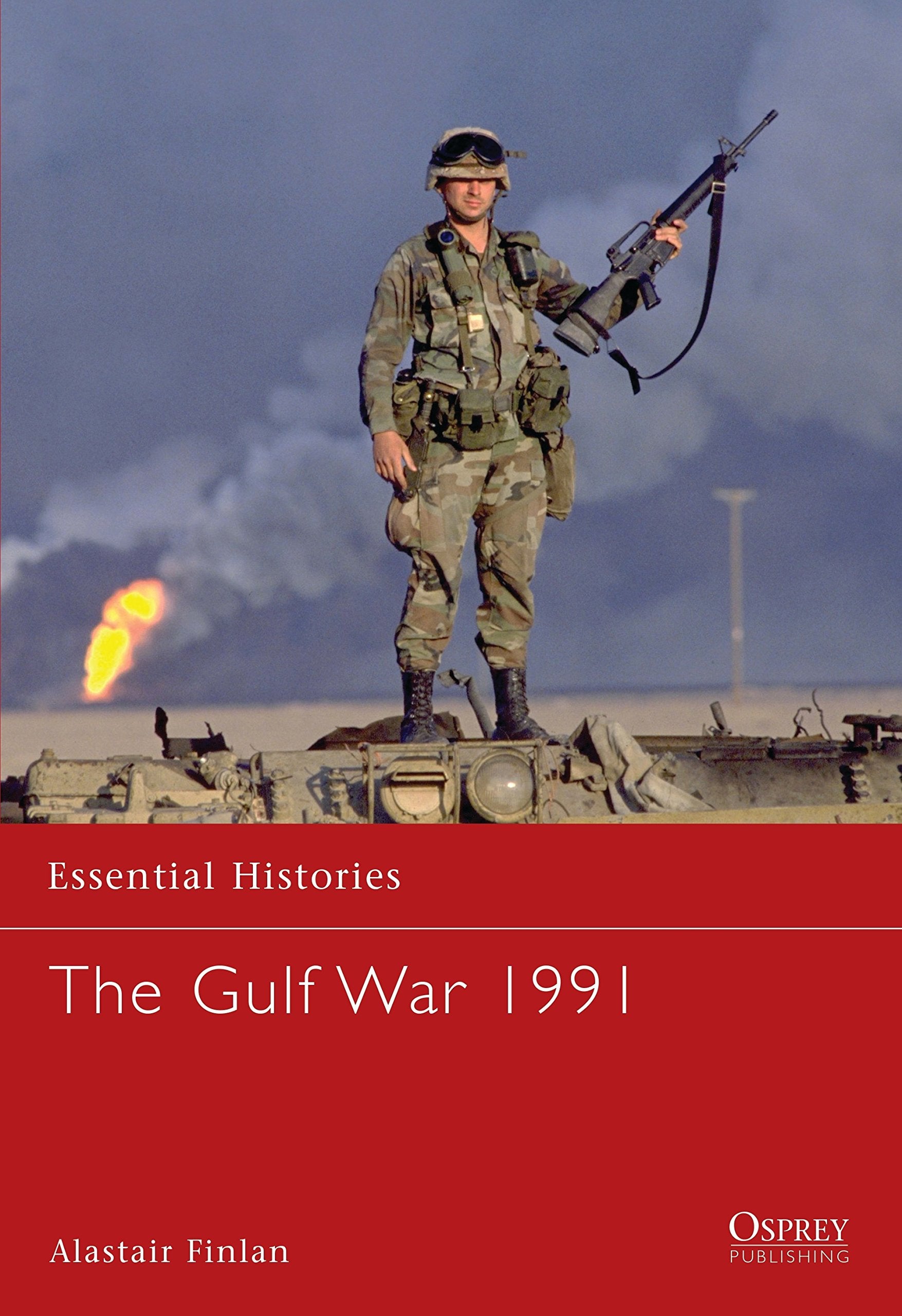 The Gulf War 1991 (Essential Histories, Band 55) Social Sciences