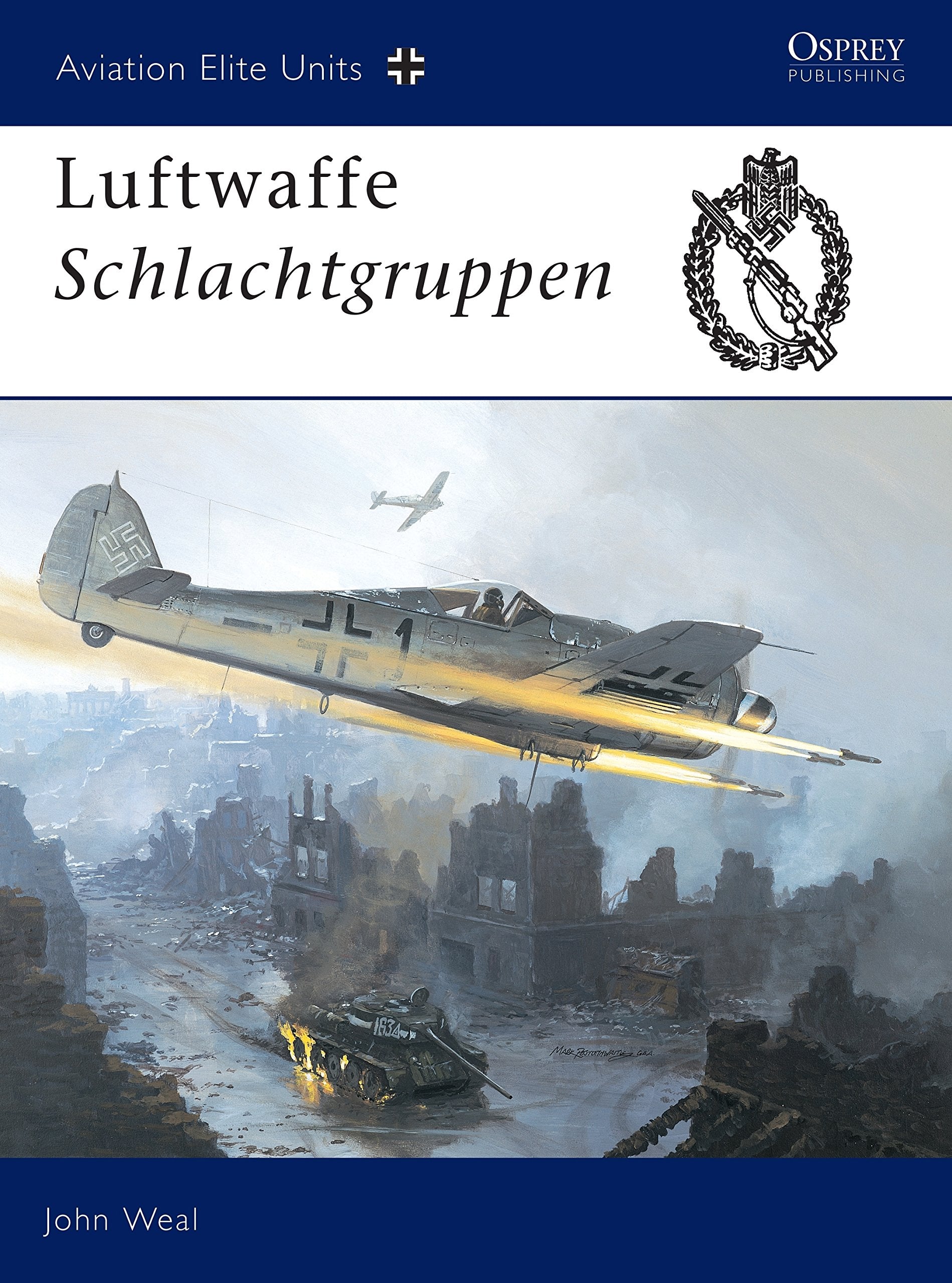 Luftwaffe Schlachtgruppen (Aviation Elite Units, 13) Social Sciences