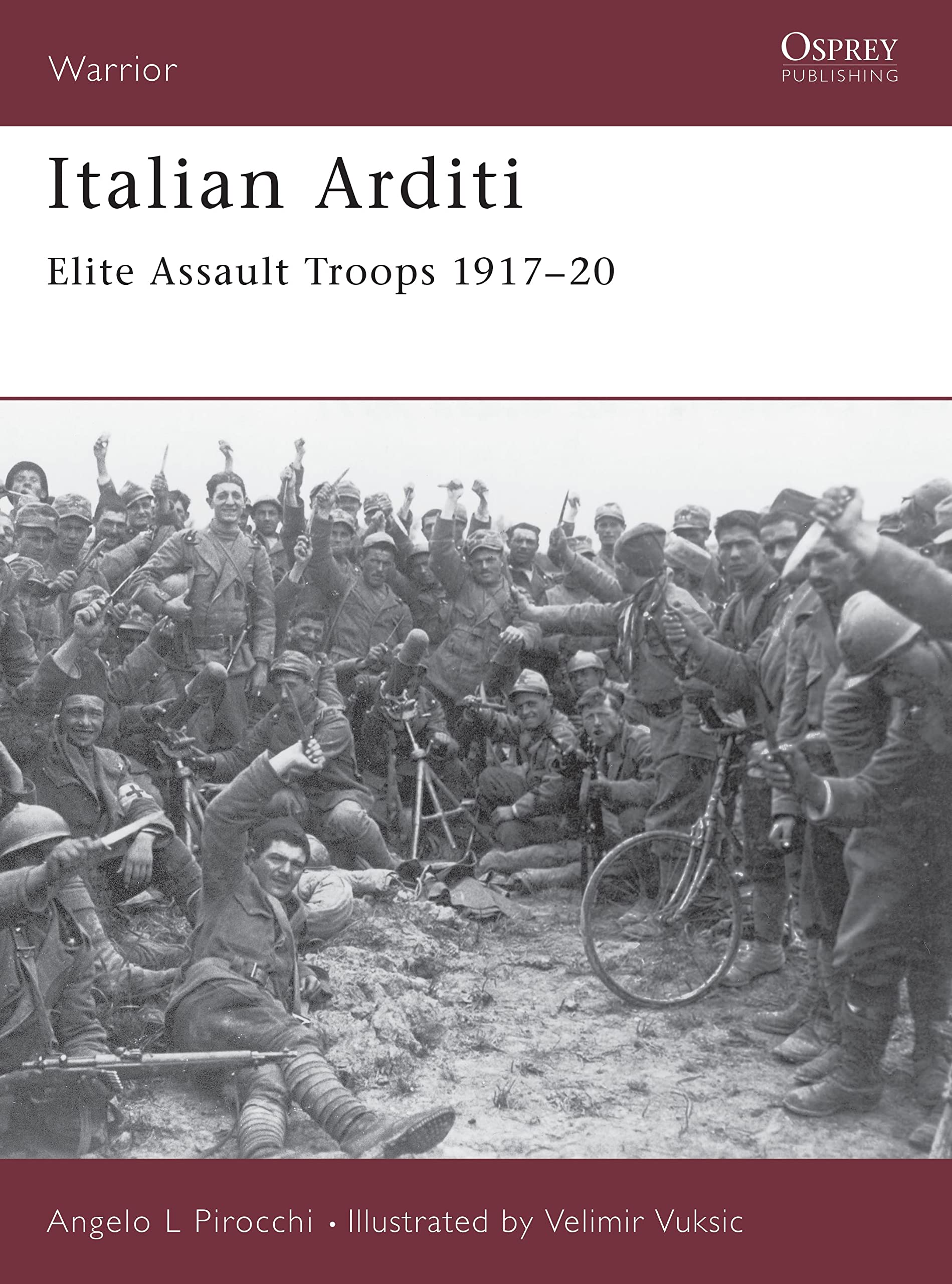 Italian Arditi: Elite Assault Troops 1917-20 book