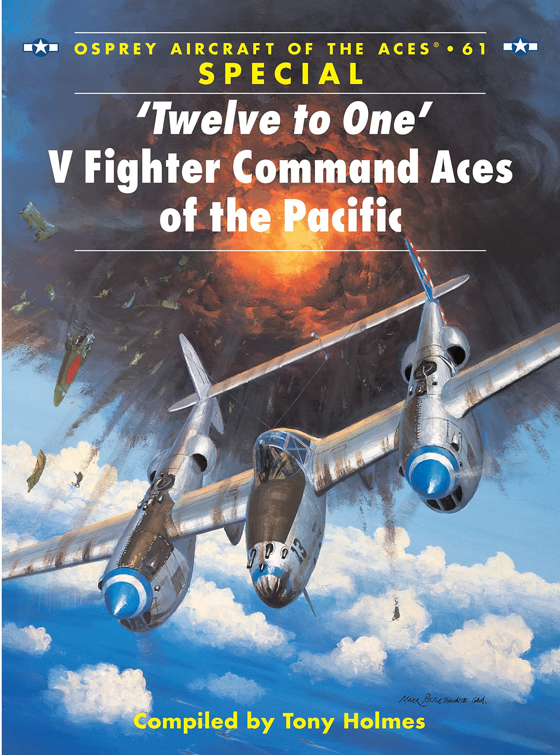 'Twelve to One" V Fighter Command Aces of the Pacific War book