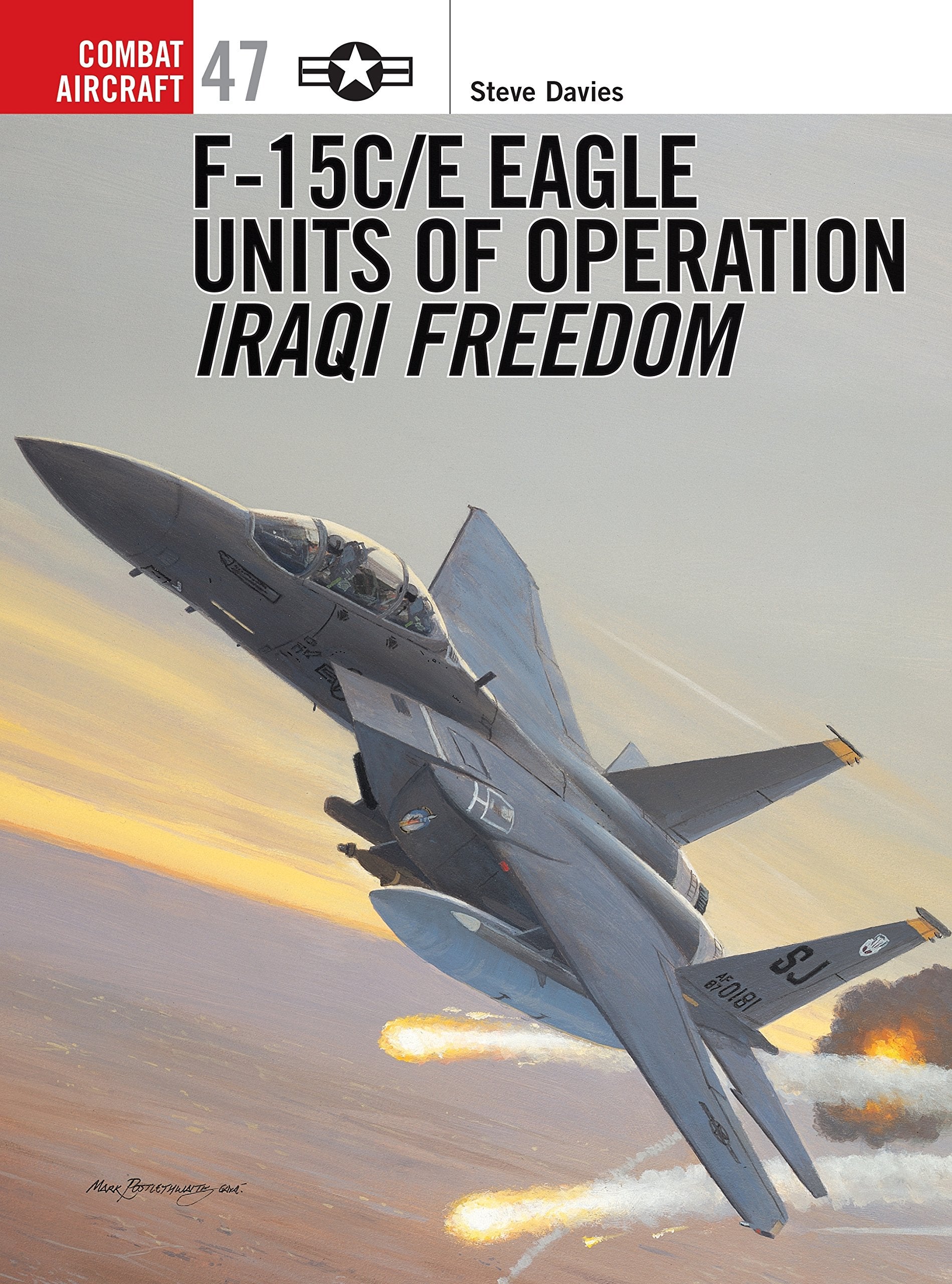 F-15C/E Eagle Units in Operation Iraqi Freedom Social Sciences