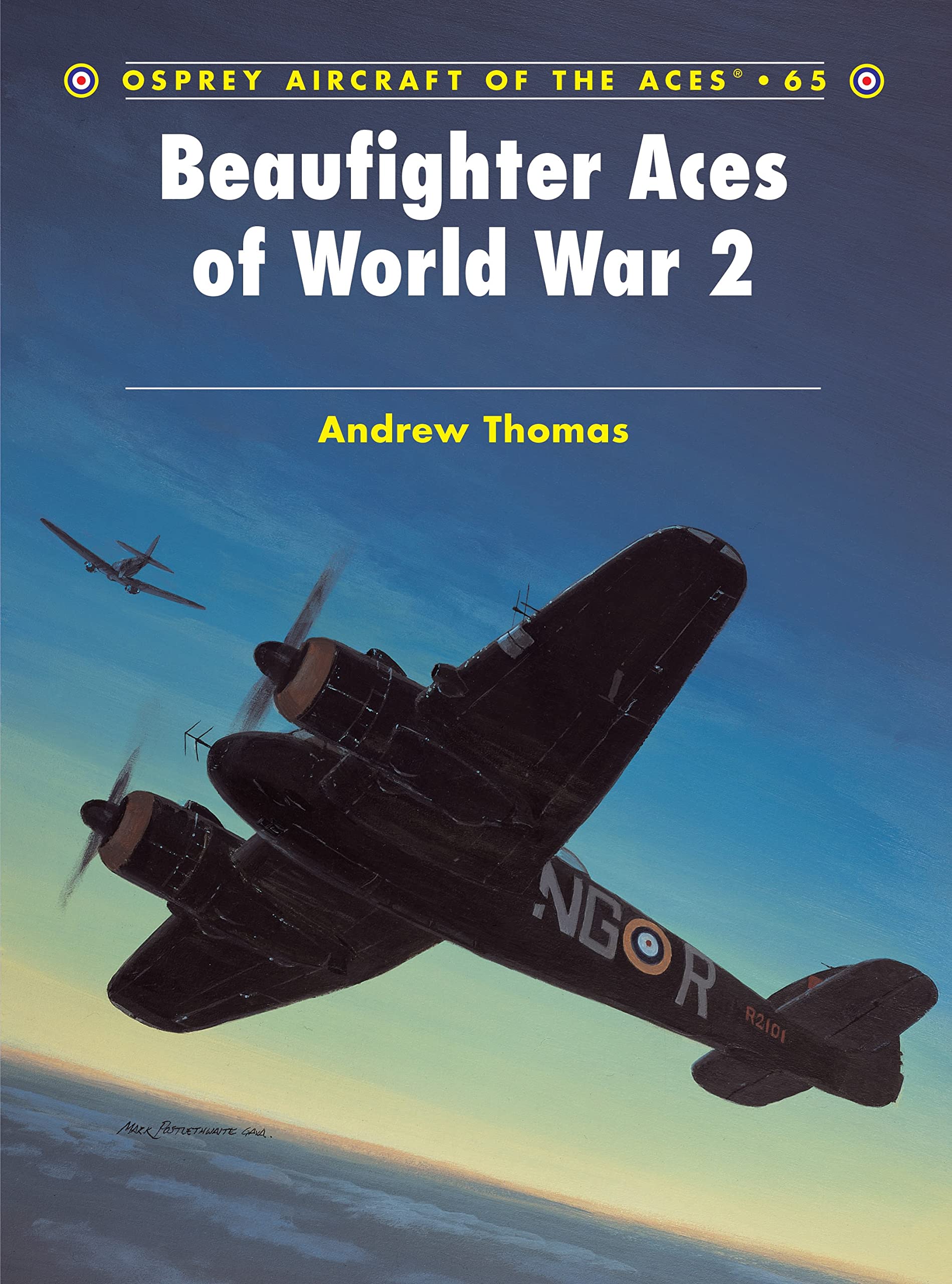 Beaufighter Aces of World War 2 book