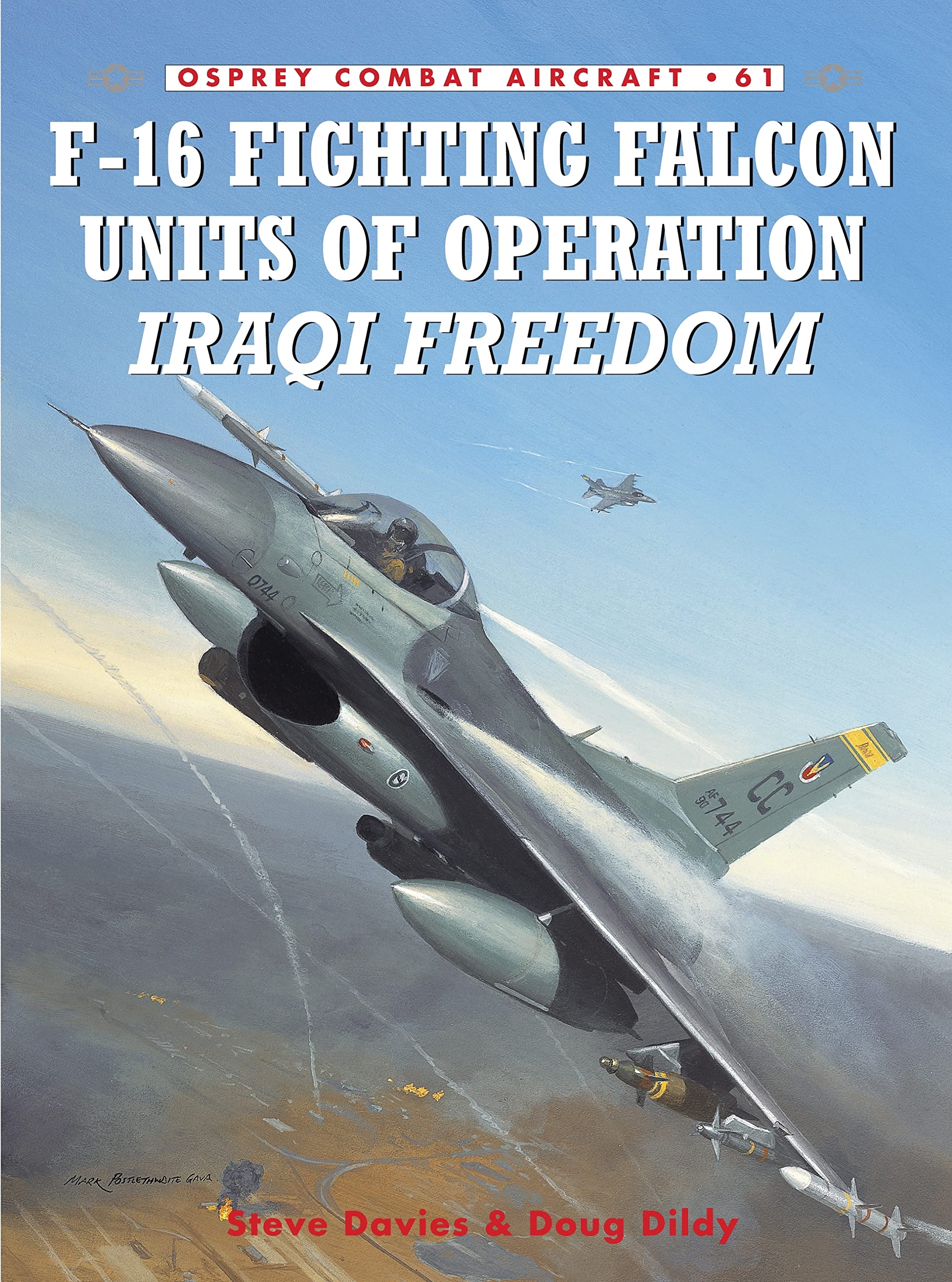 F-16 Fighting Falcon Units of Operation Iraqi Freedom Social Sciences