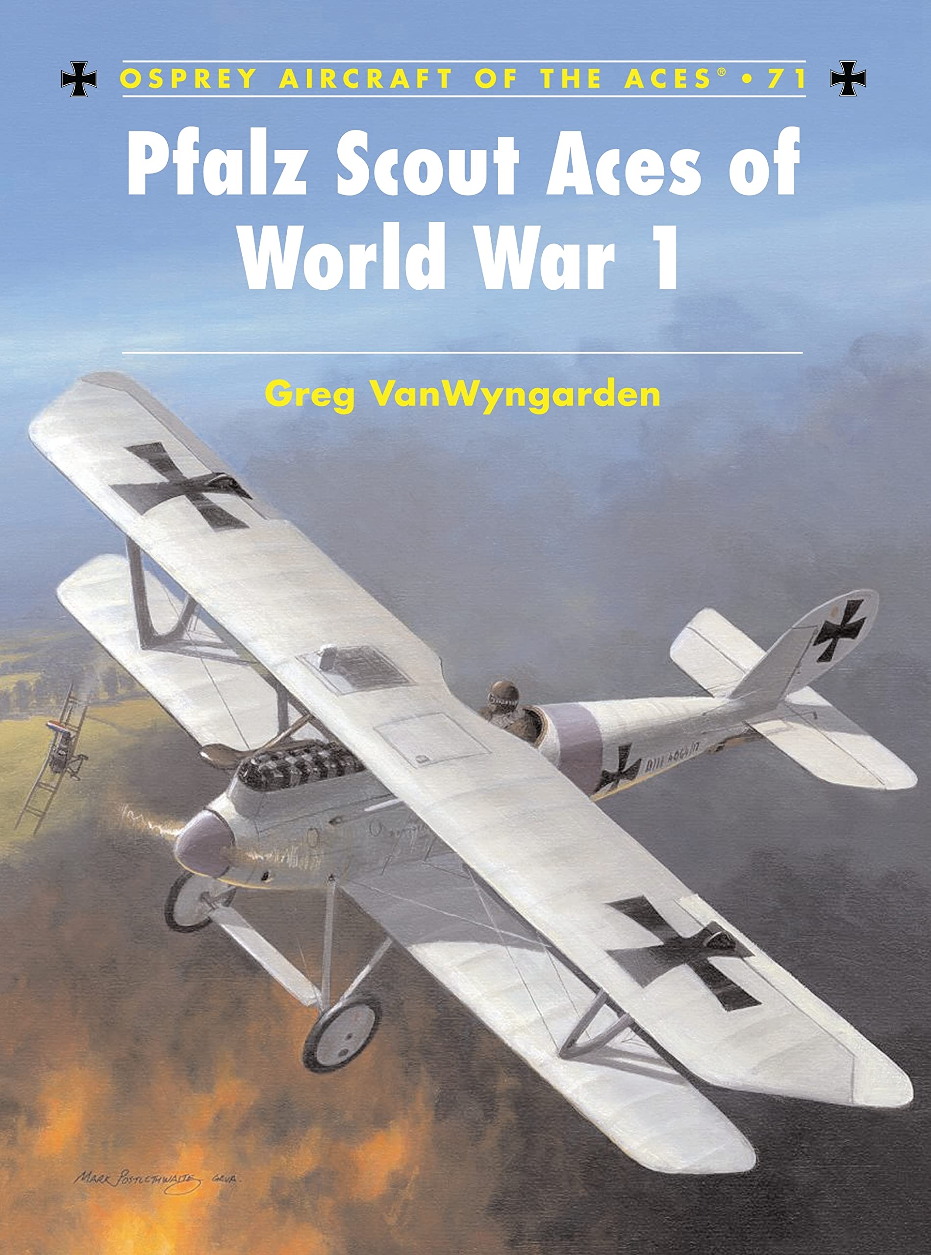 Pfalz Scout Aces of World War 1 book