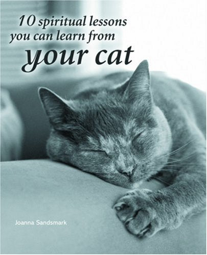 10 Spiritual Lessons You Can Learn from Your Cat Pets