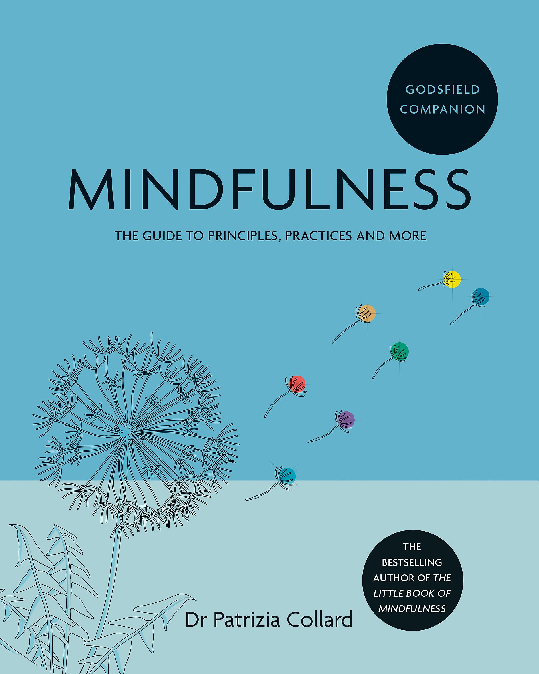 Mindfulness: The Guide to Principles, Practices and More (Godsfield Companion) Health, Nutrition & Fitness