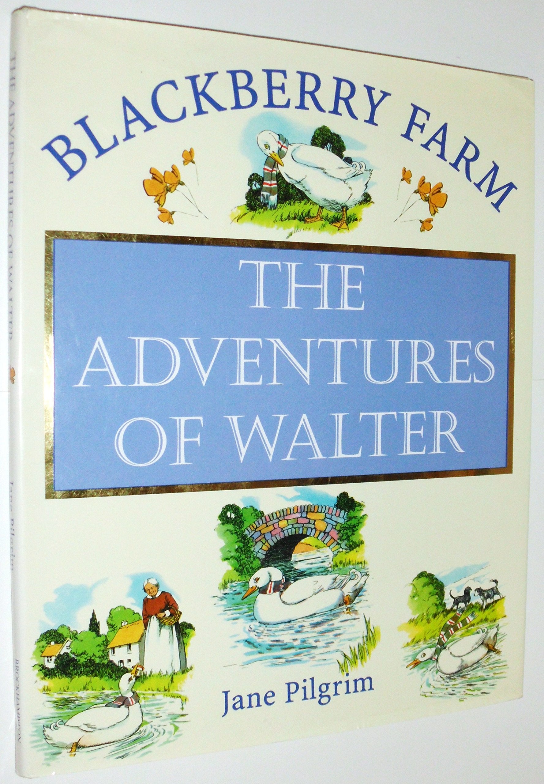 The Adventures of Walter (Blackberry Farm S.) Novels & Short Stories