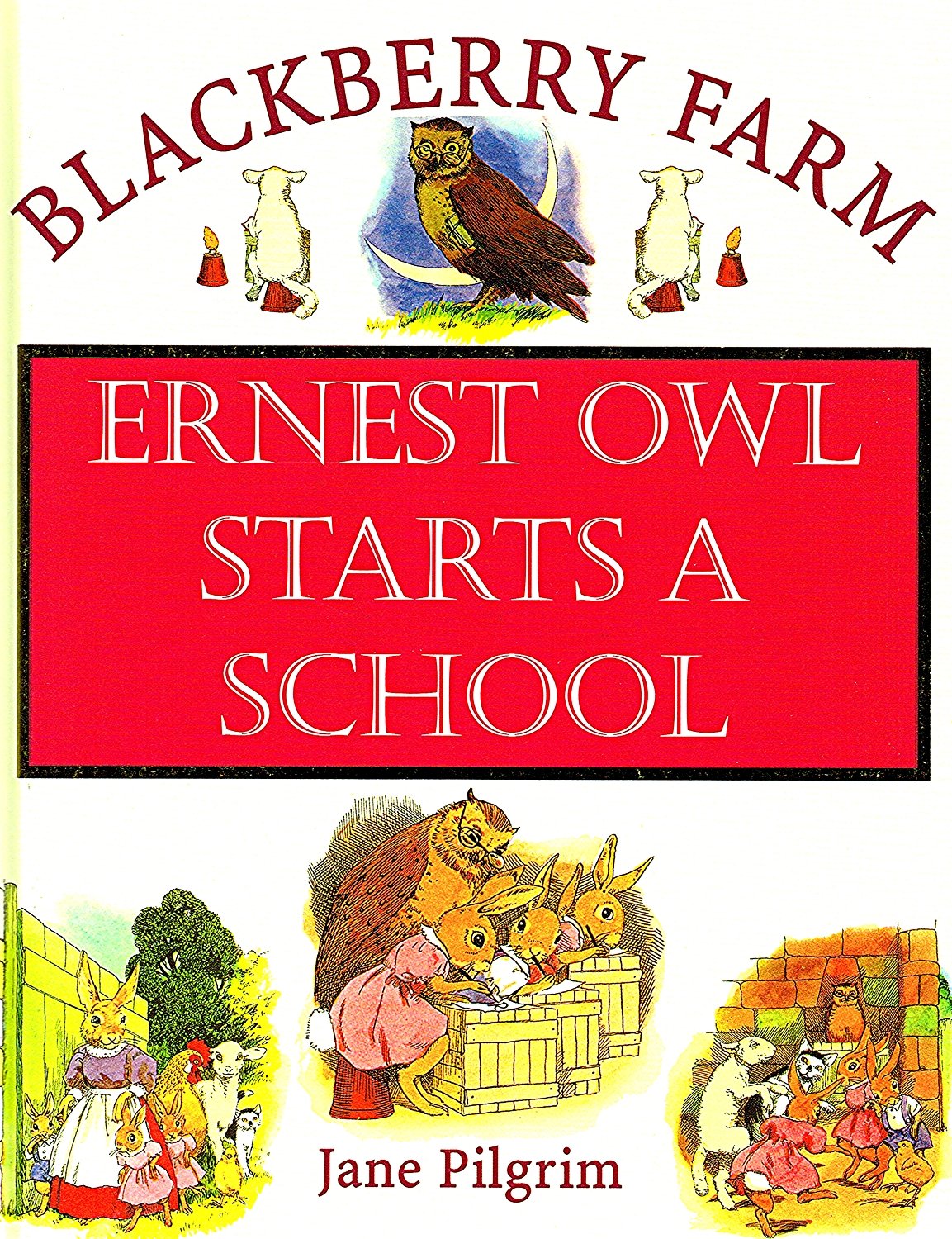 Earnset Owl Starts a School (Blackberry Farm S.) Novels & Short Stories