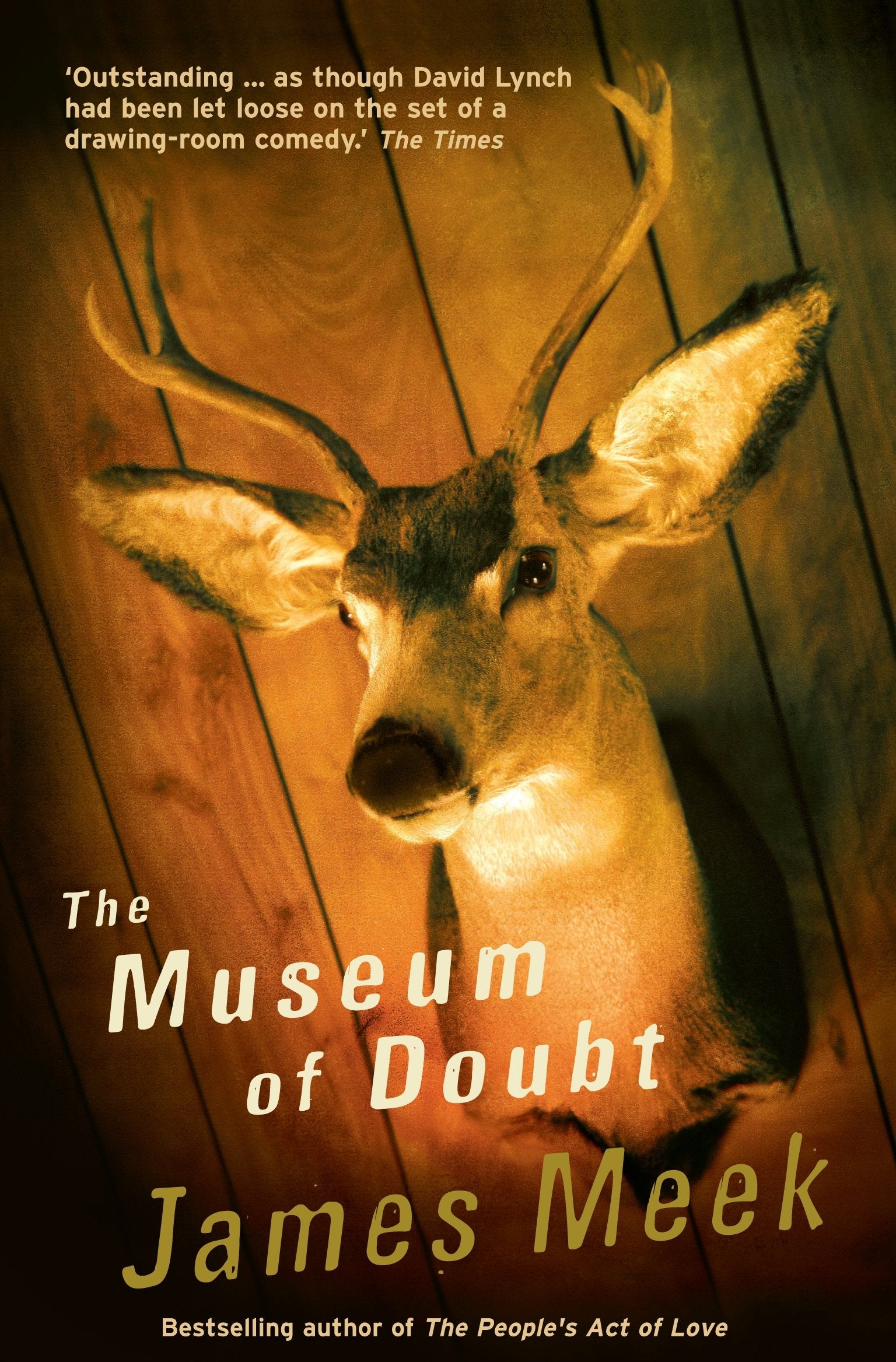 The Museum of Doubt Essays & Short Stories