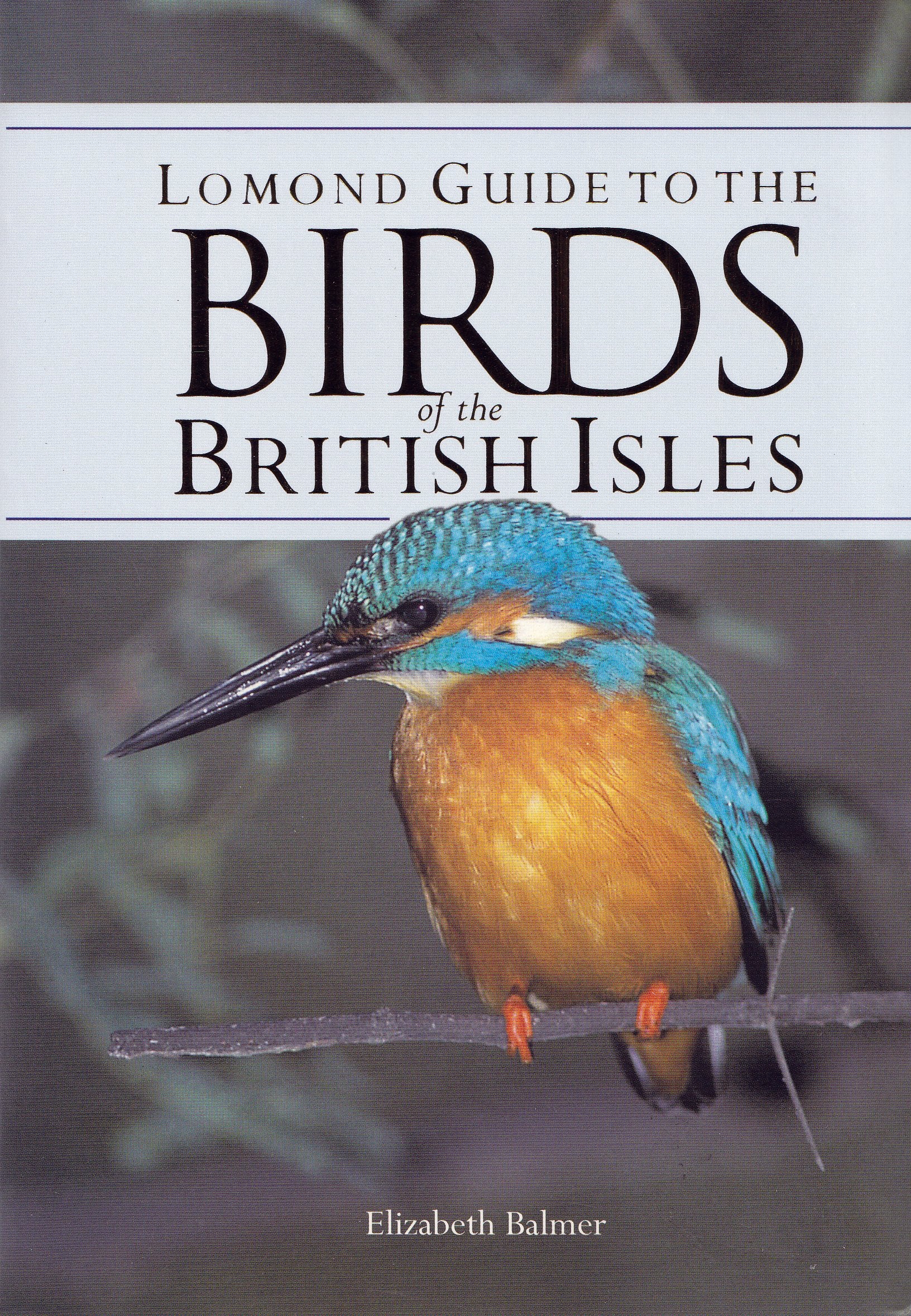 Lomond Guide to Birds of the British Isles Mathematics