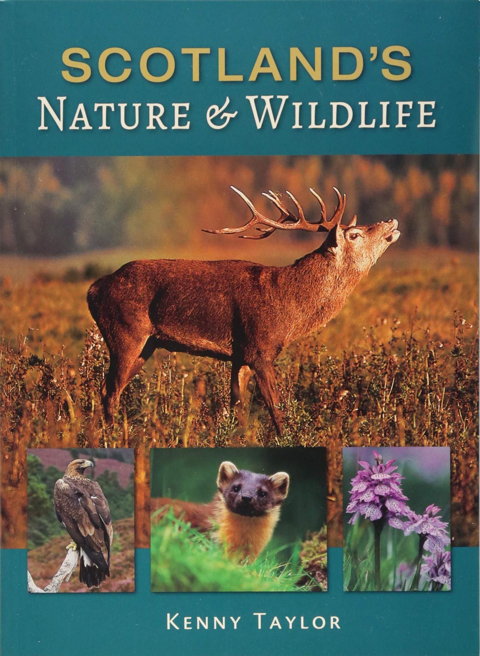 Scotland's Nature & Wildlife book